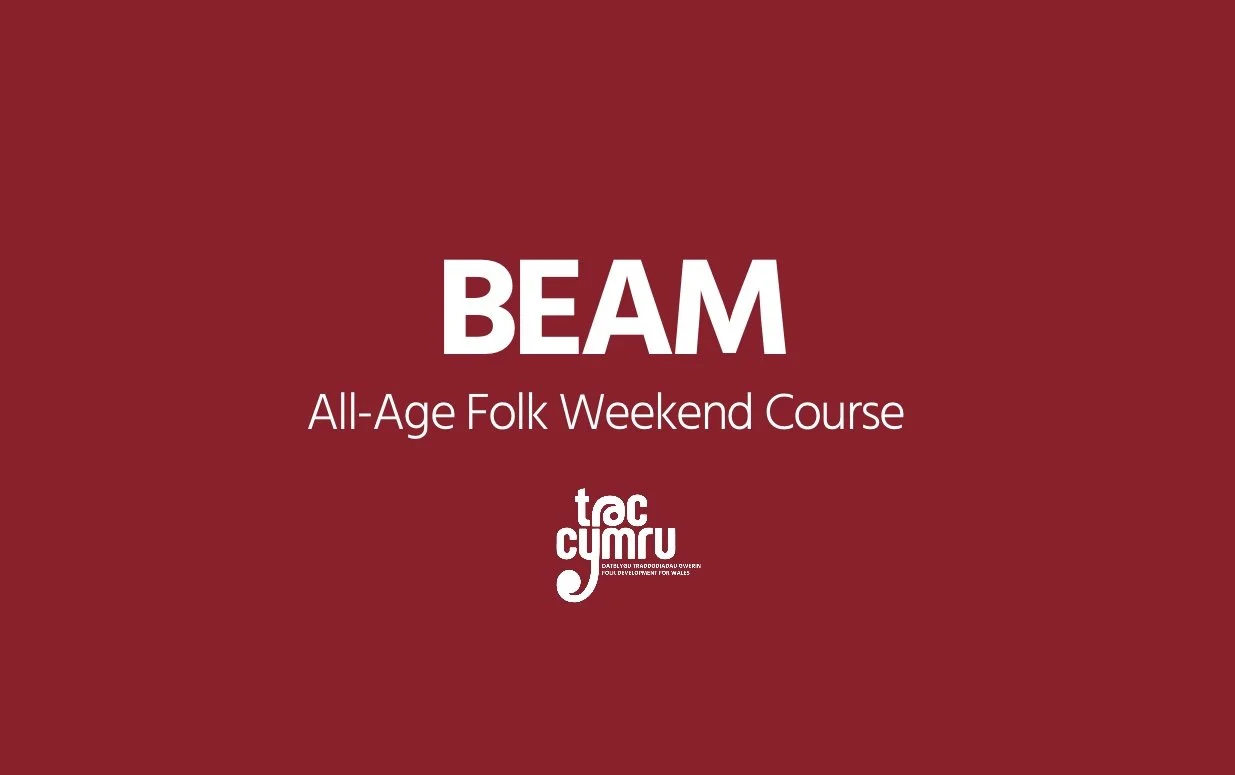 BEAM: Big Experiment Arbrawf Mawr