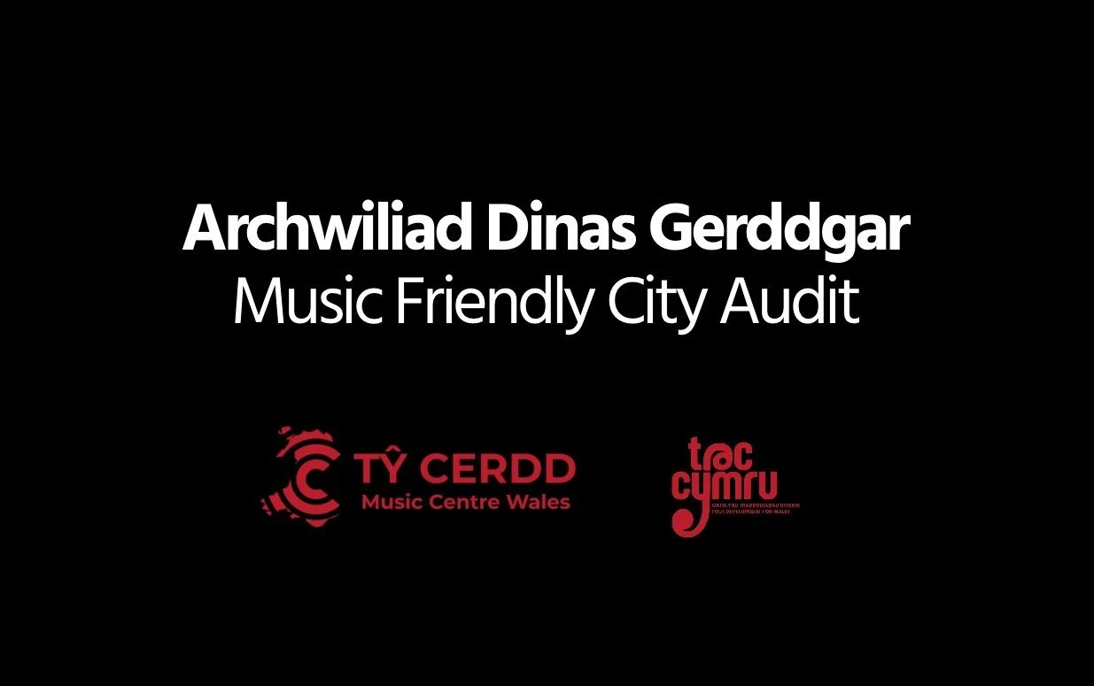 Music Friendly City Audit