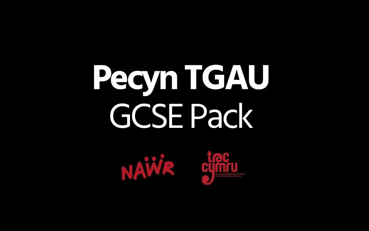 GCSE pack: Traditional Music in Wales