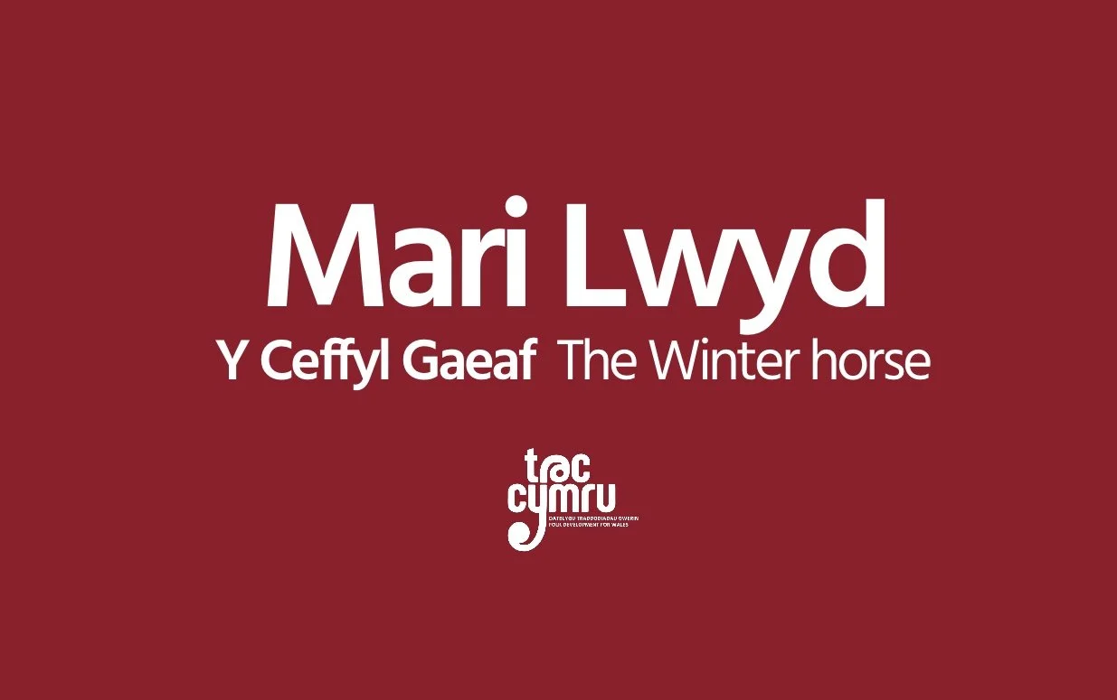 Mari Lwyd: The Winter Horse