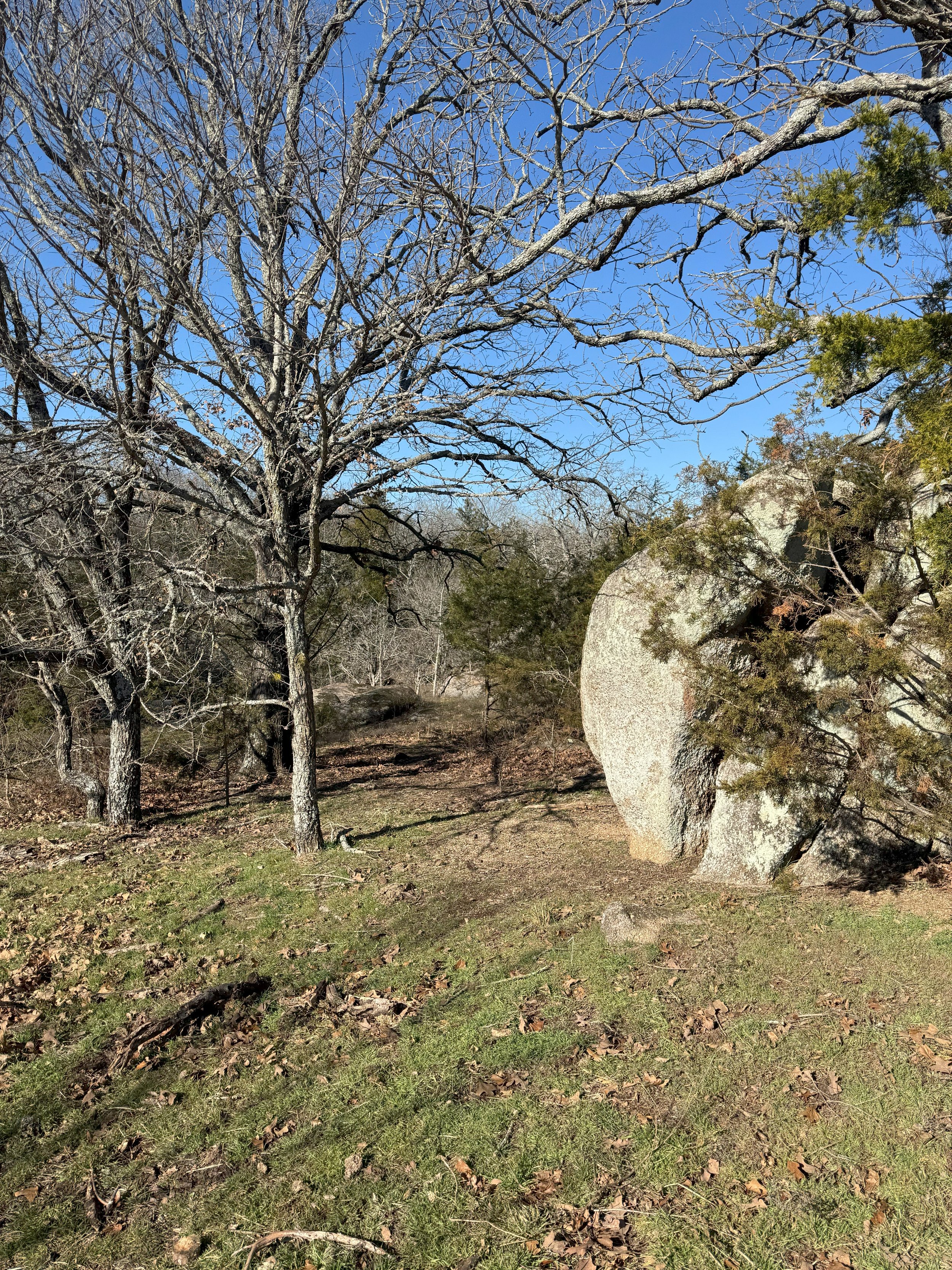 Trail 3.jpg