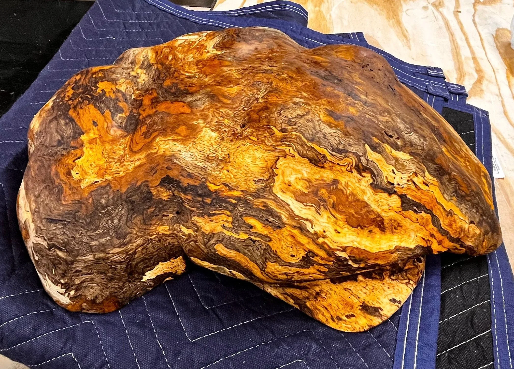Brain_Burl - Top1.jpg
