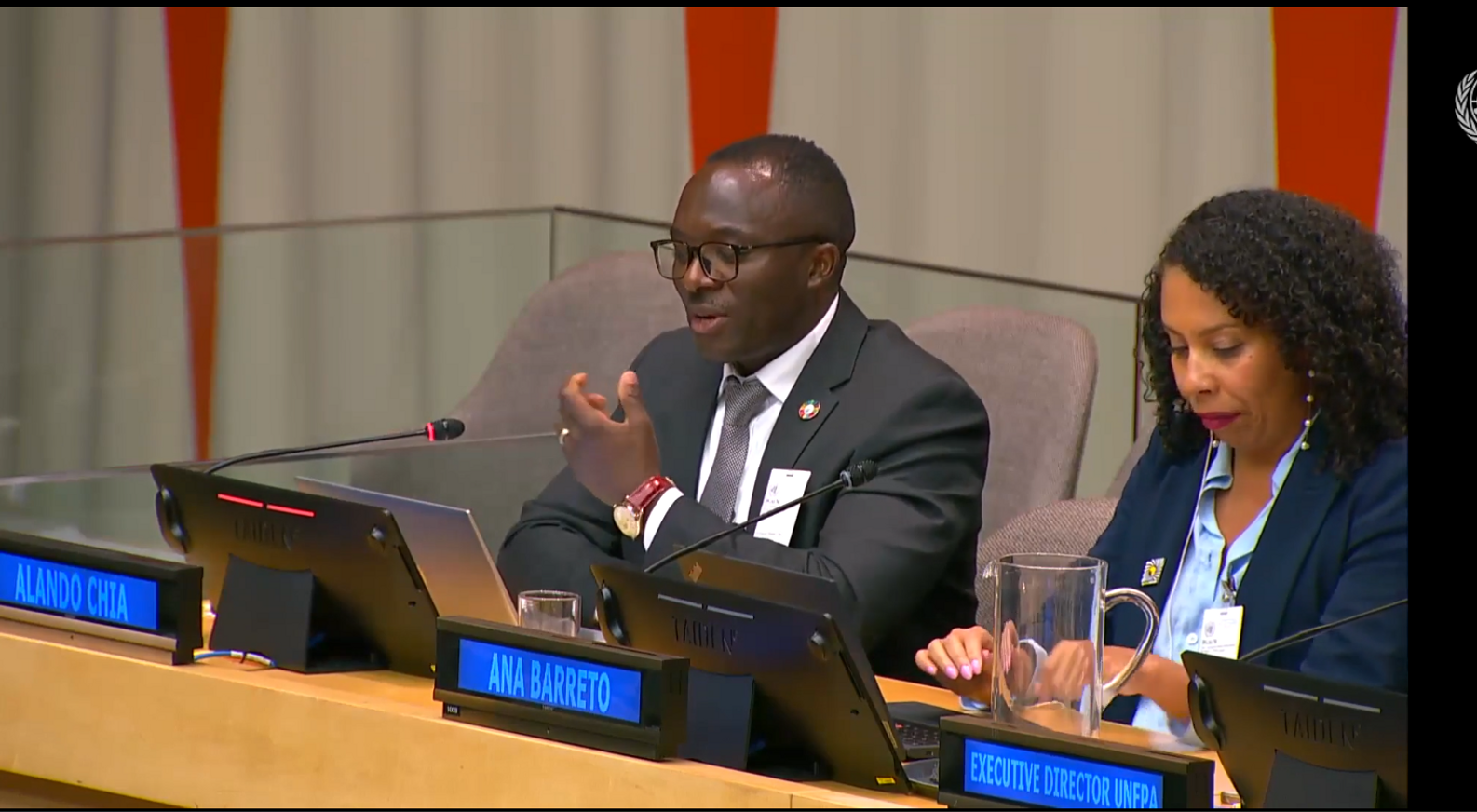 APN-PAD Co-founder and Director of Diversity's Presentation to United Nations High-Level Meeting