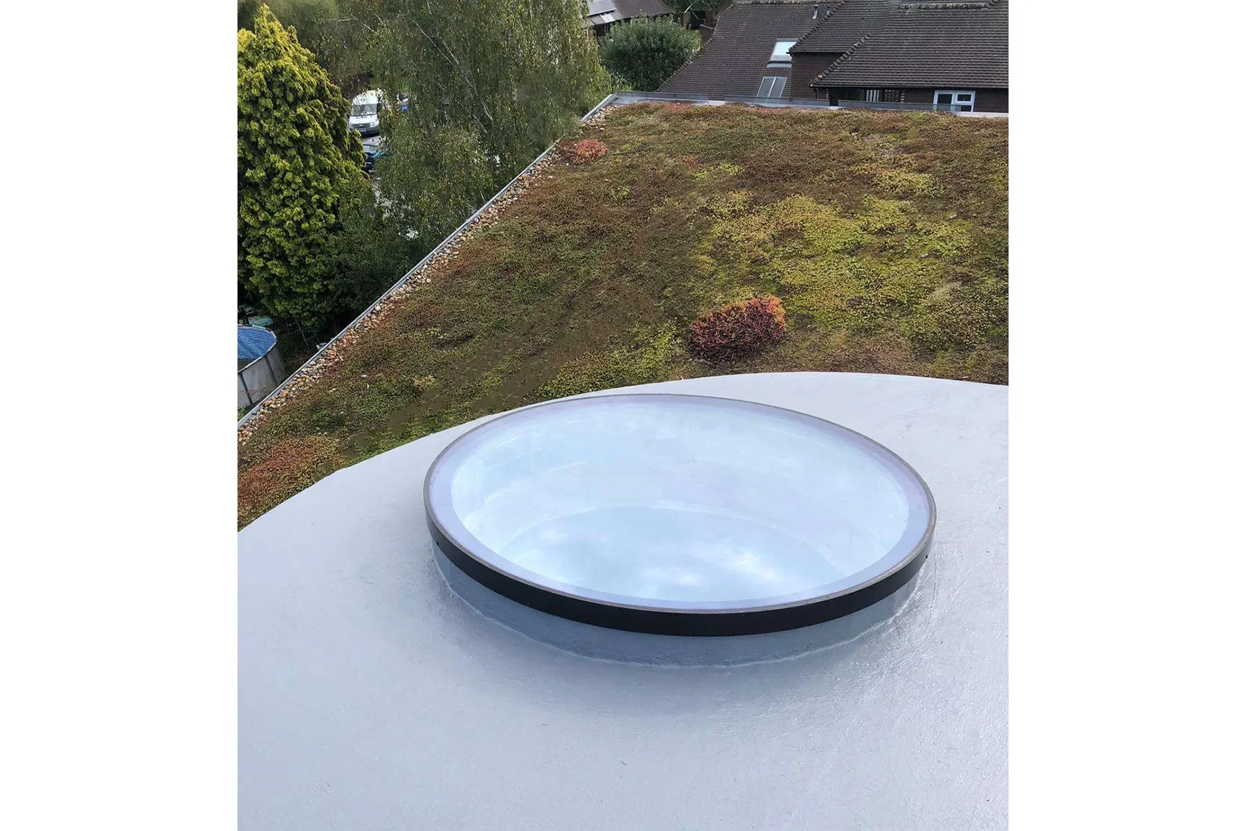 Shaped Rooflights.webp