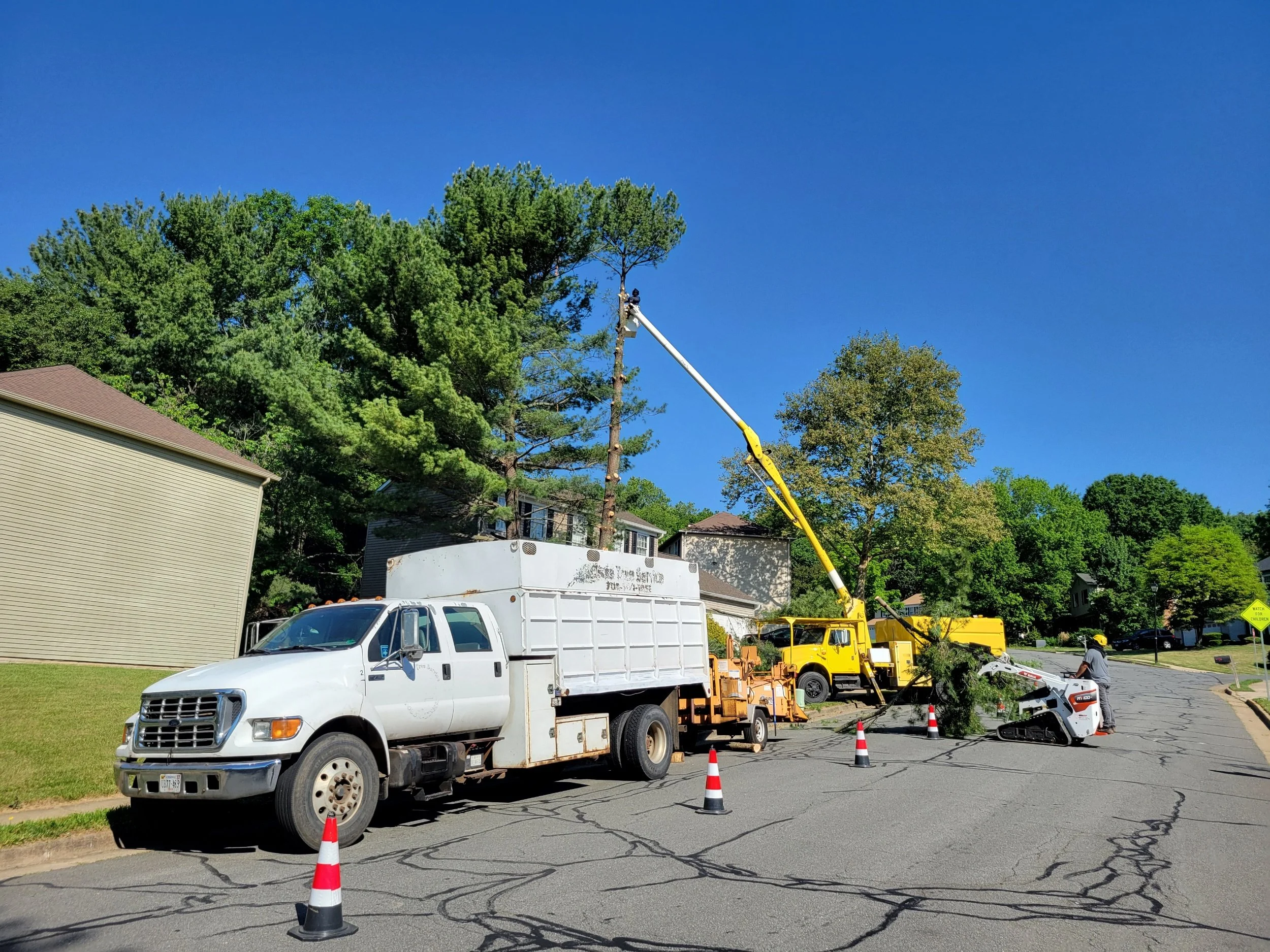 Our tree removal crew is removing multiple trees from this property in Loudoun County. Tree removal work in Leesburg, Va.