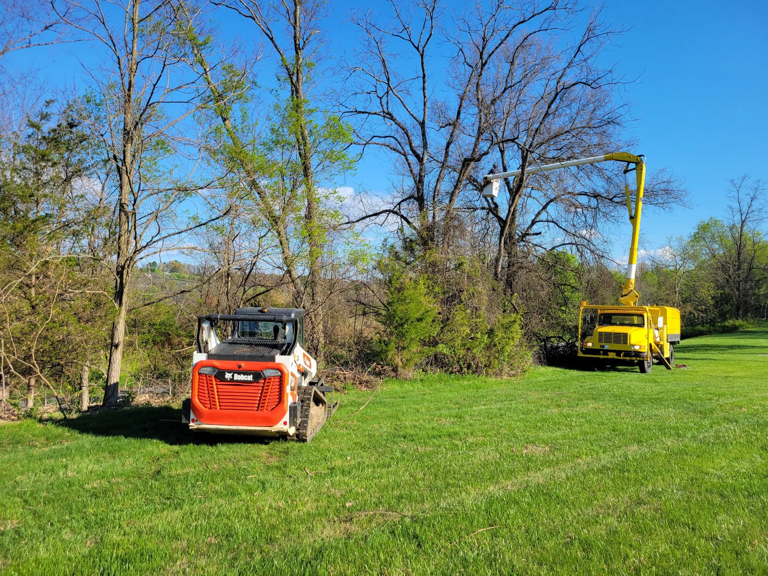 Land clearing work in progress in Leesburg, Va. Our tree service Crew trimmed and cleared the vine from multiple trees in this property in Leesburg, Loudoun County.
