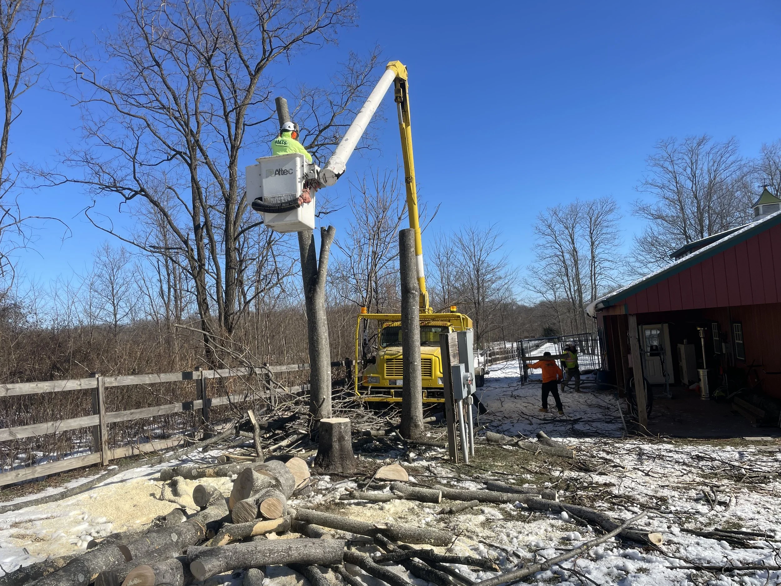 In this picture our crew removed several tree from this property using one of our especialty equipments to get the job done safely. With the help of our bucket truck we were able to get the trees removed safely and efficiently.
