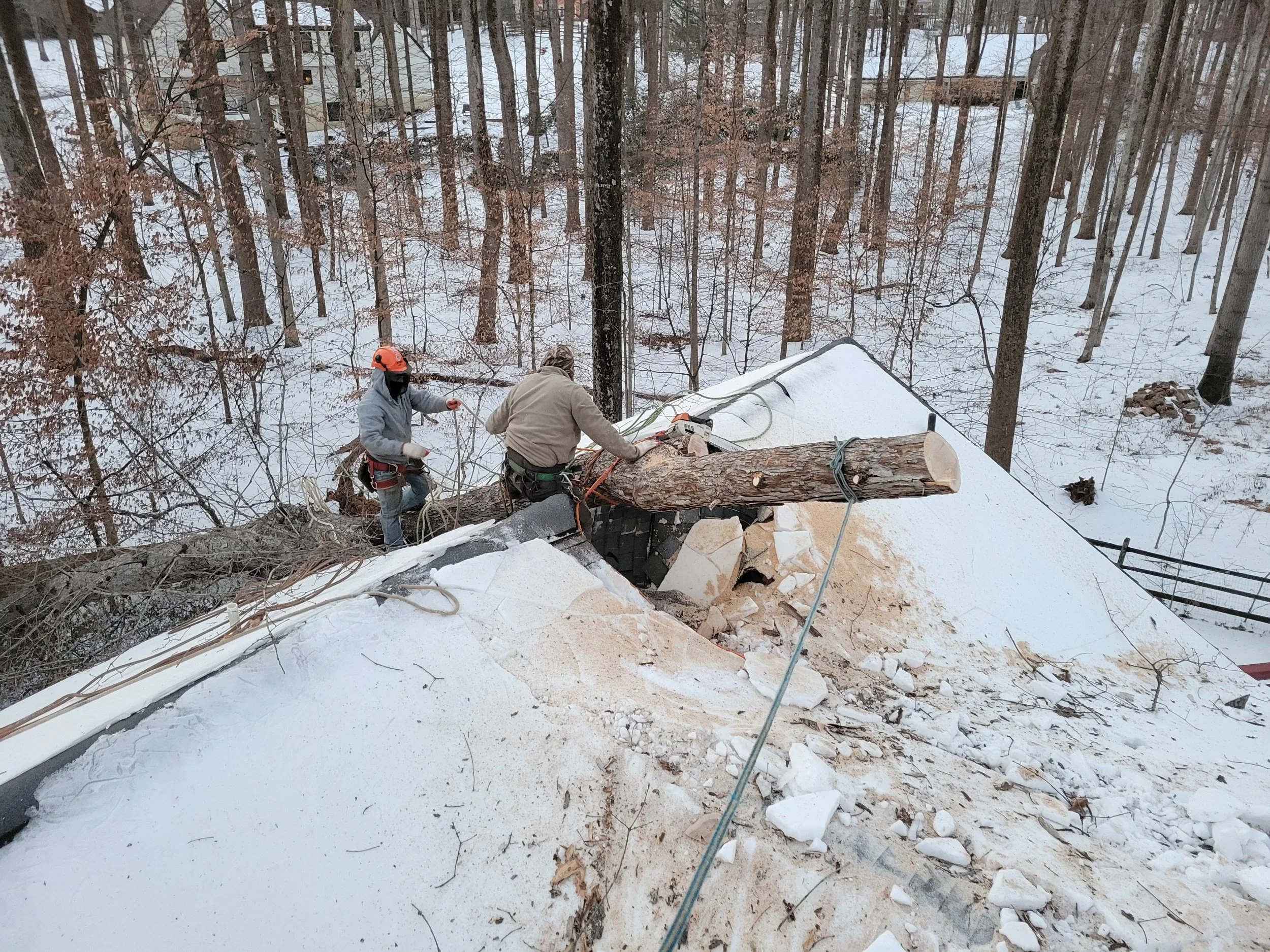 Large tree was blown over due to high winds, our crew removed the tree from the house roof. Emergency Tree Removal services.