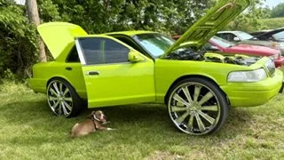 IMG_6204.jpeg
