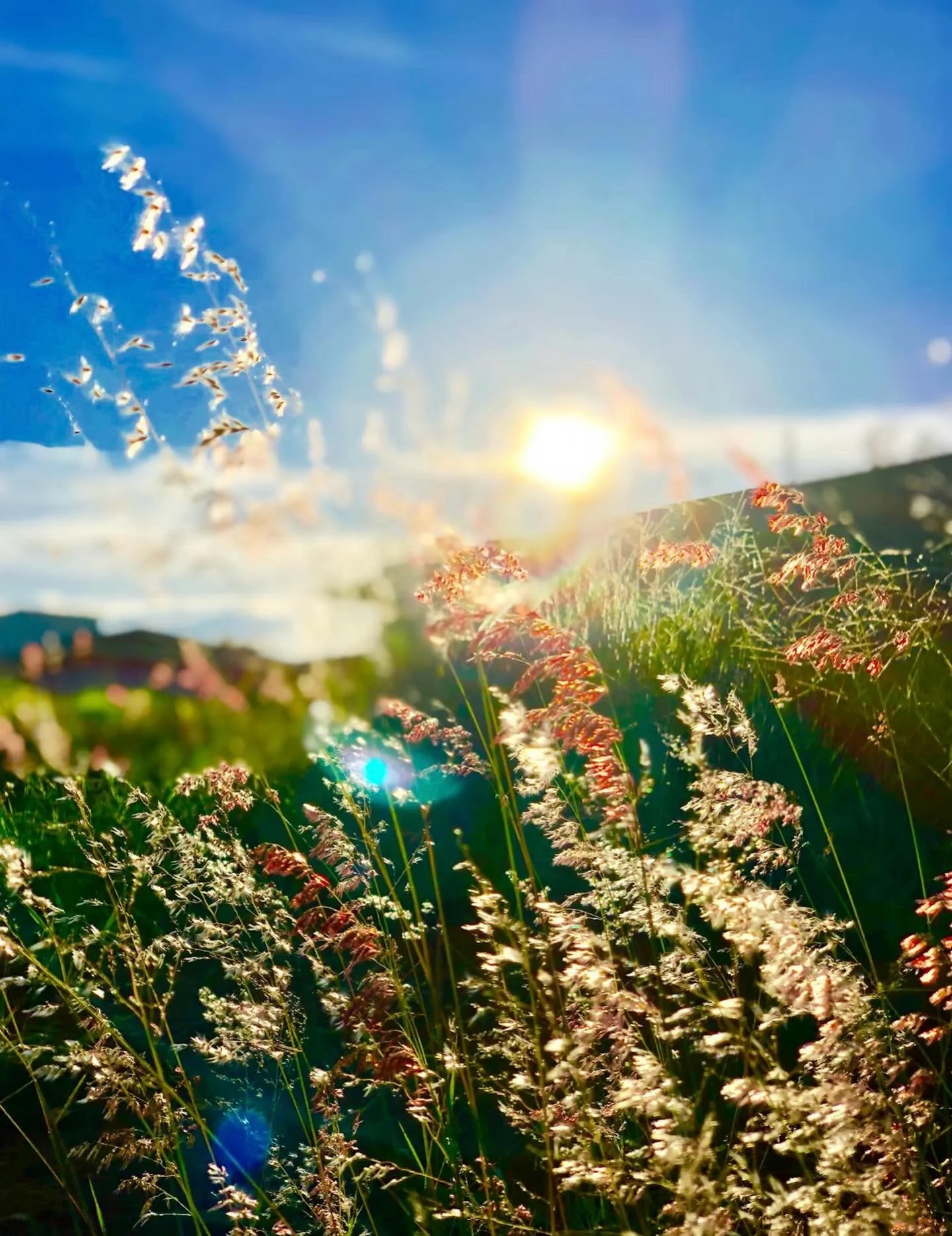 🌱 Spring Equinox 🌱

We made it&hellip;.and breathe&hellip;

Oh god, I&rsquo;m way too pasty for this&hellip;😆💚