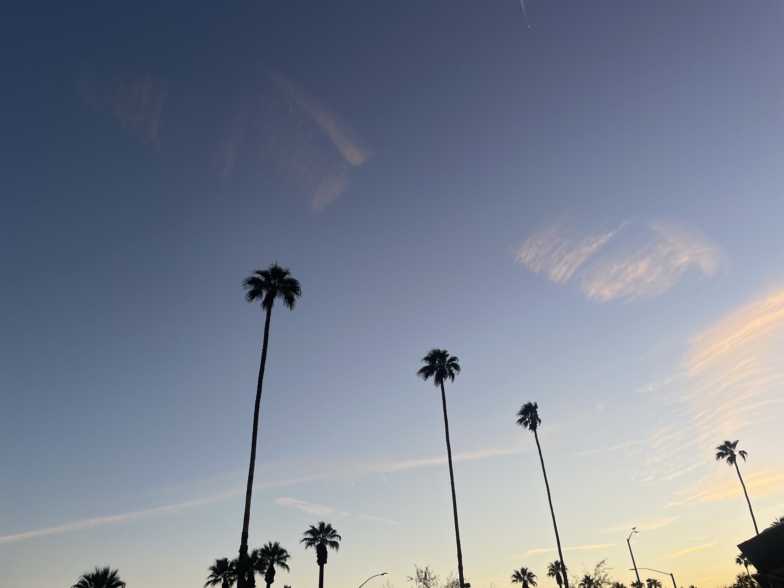 IMG_3727.jpeg