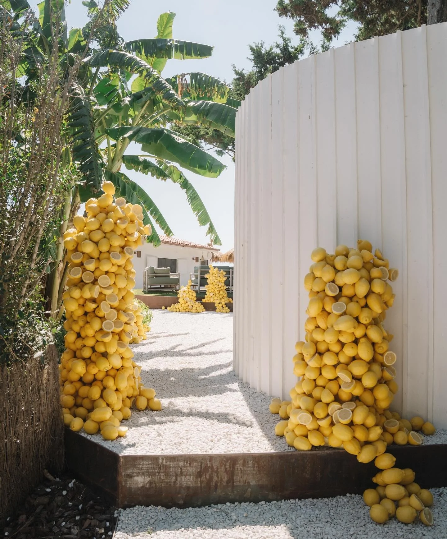 Castello di Rothfeldt Day Two 🍋🌛🪐