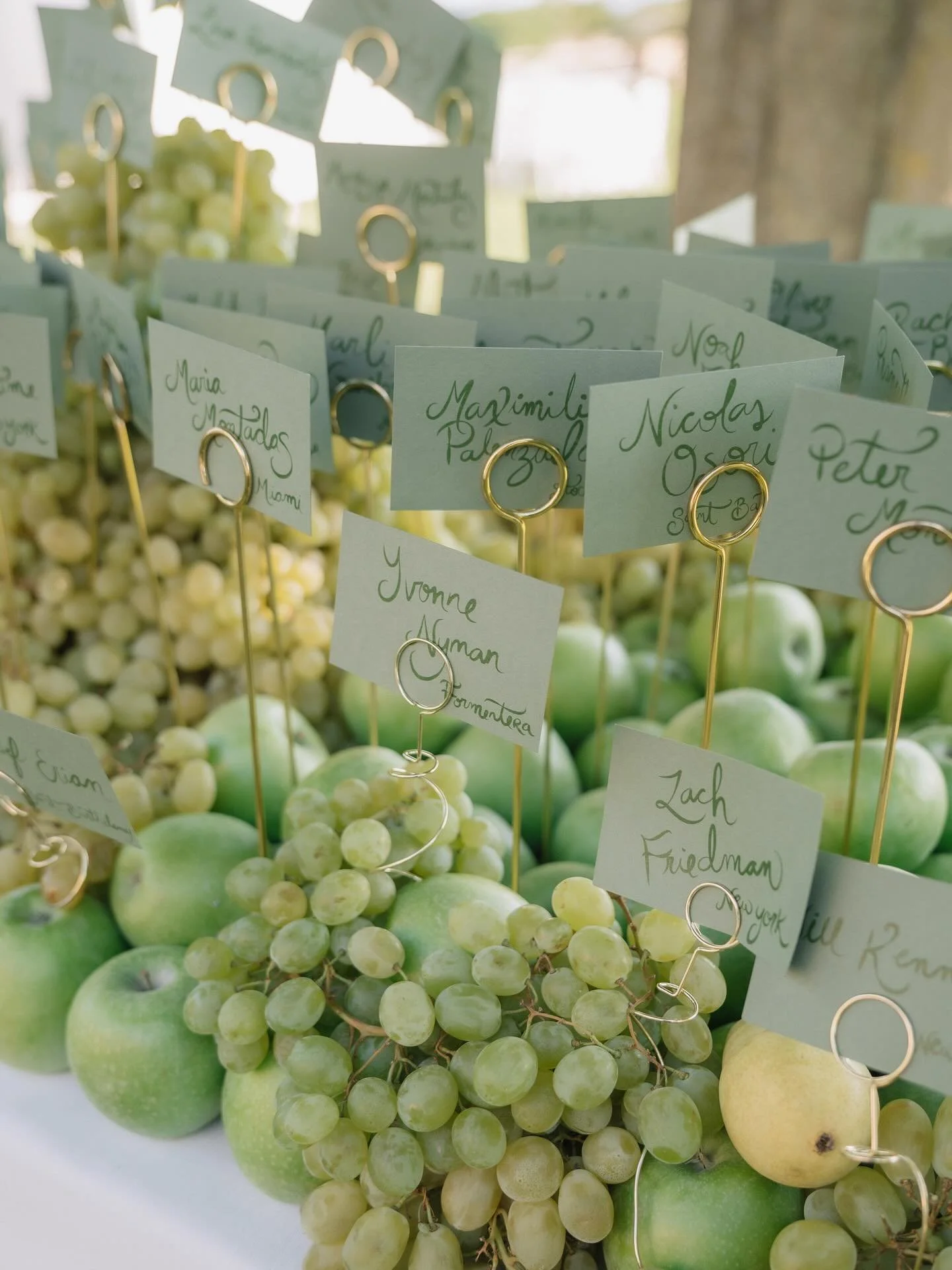 Escort table for a vineyard wedding 🍇