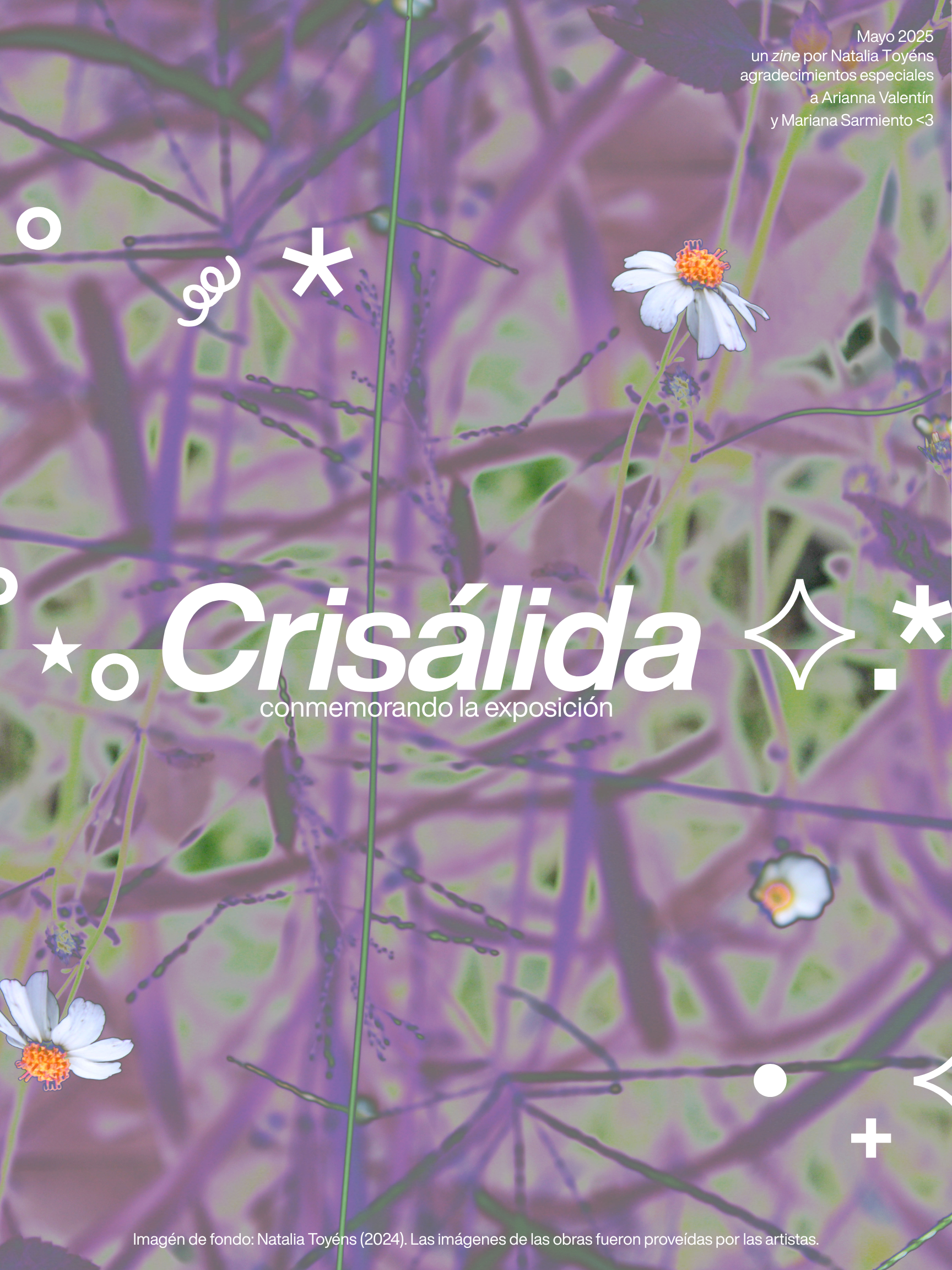 Crisálida zine page cover. 2025. Photograph, editing.