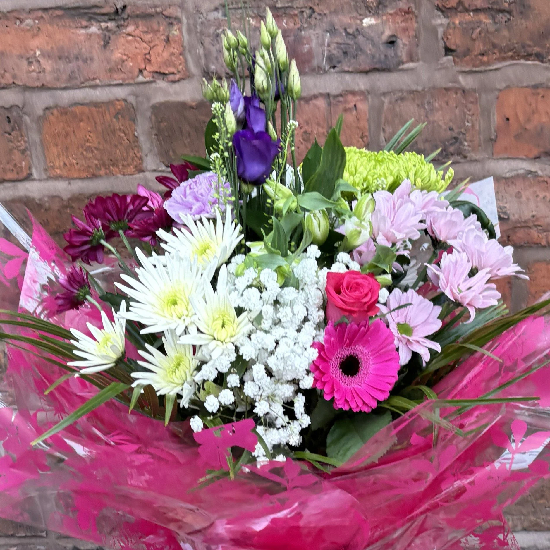 1x1 Aqua Pack - Pink NO LILY ZOOMED.jpg