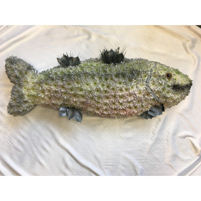 Large Fish