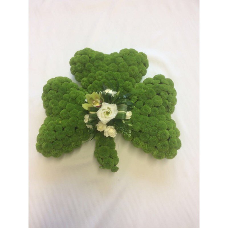 Shamrock