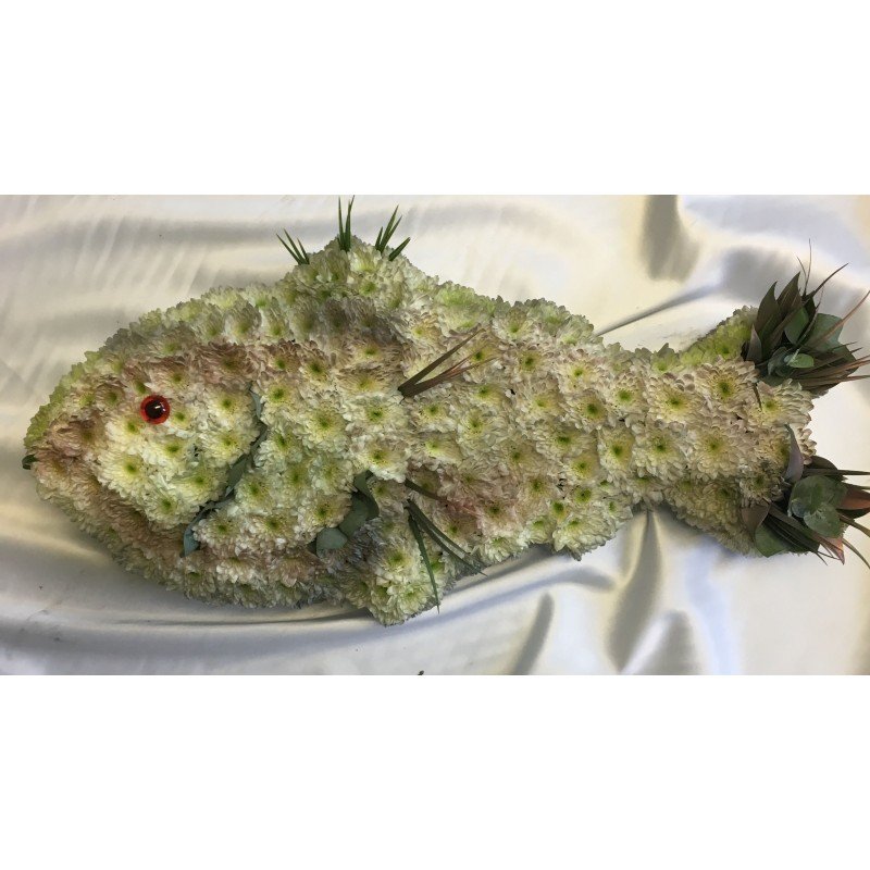 Small Fish