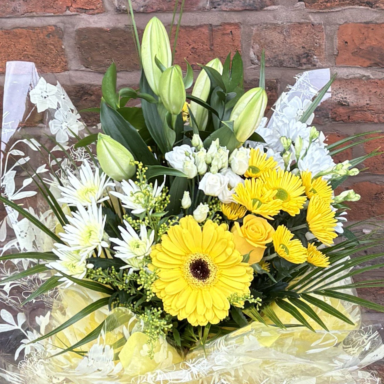 1x1 Aqua - Pack Yellow ZOOMED.jpg