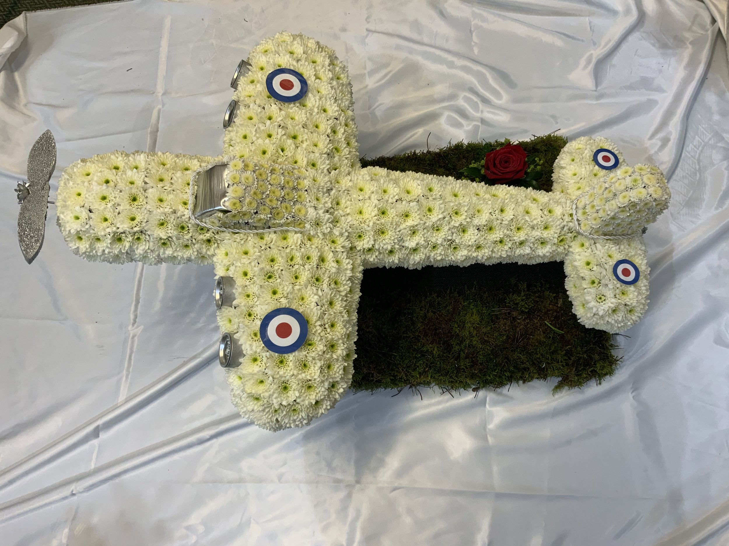 Plane