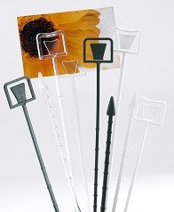 Plastic Cardettes Green 23cm - Pack of 5