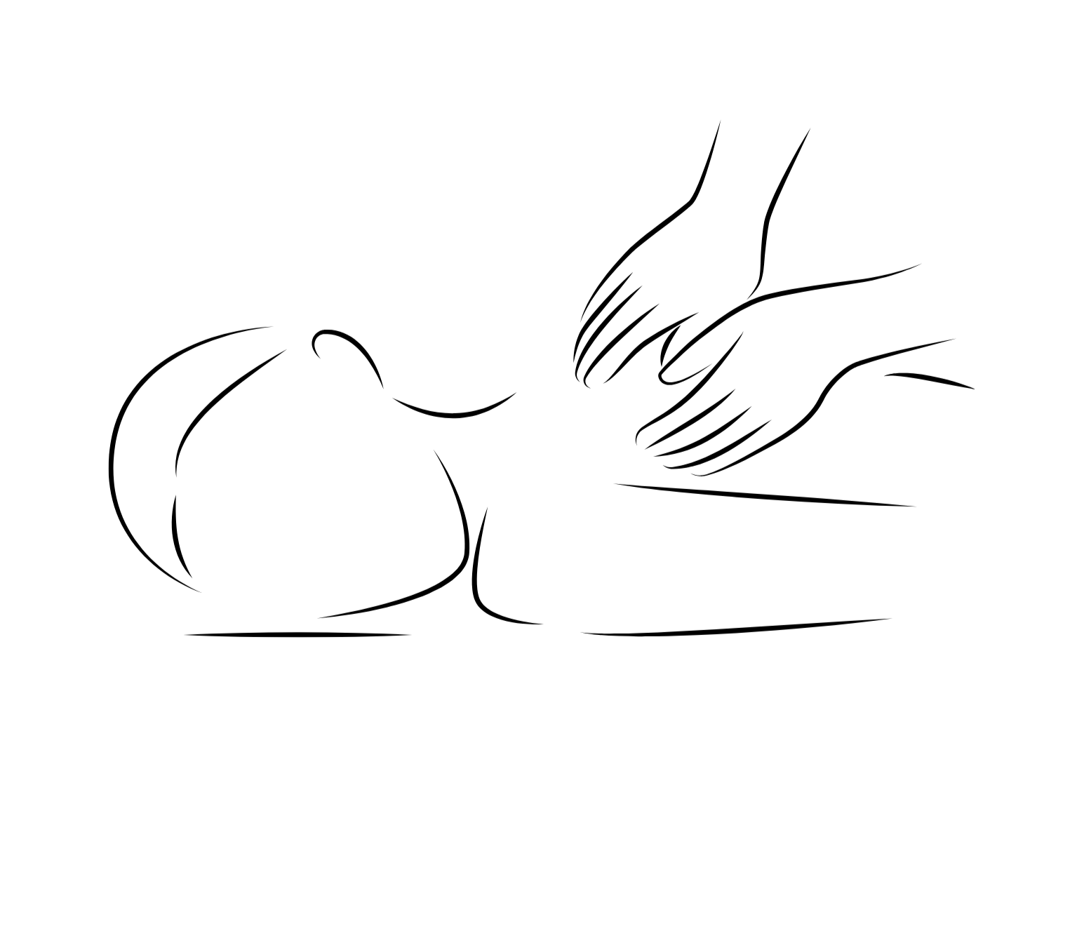 Progetto senza titolo copia.png
