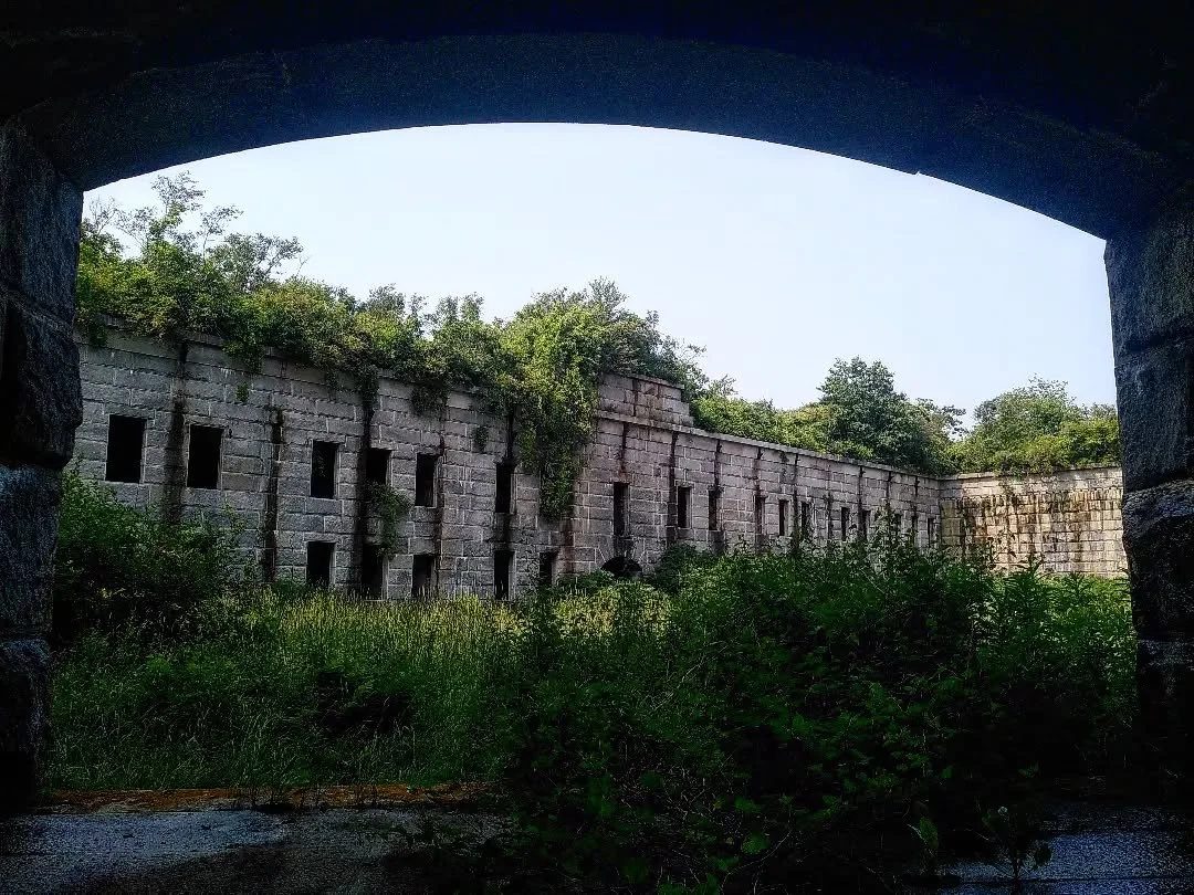 And in the end, nature will always win ... Thank you for a wonderful tour @nf__ceramics and @portlandpaddle - it reminded me why I keep coming back to Maine and that I need to be spending way more time on the water!