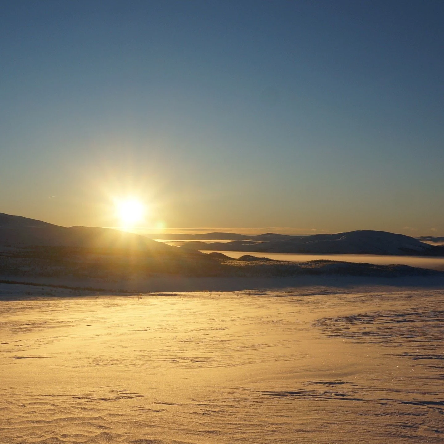 Yesterday I had a profound realisation:
That every day, I'm doing my best.
And the most logical conclusion felt even more profound:
That you are too. That everyone is.

And I'm sure you know that, and I know it too - but yesterday I felt it.
The mome