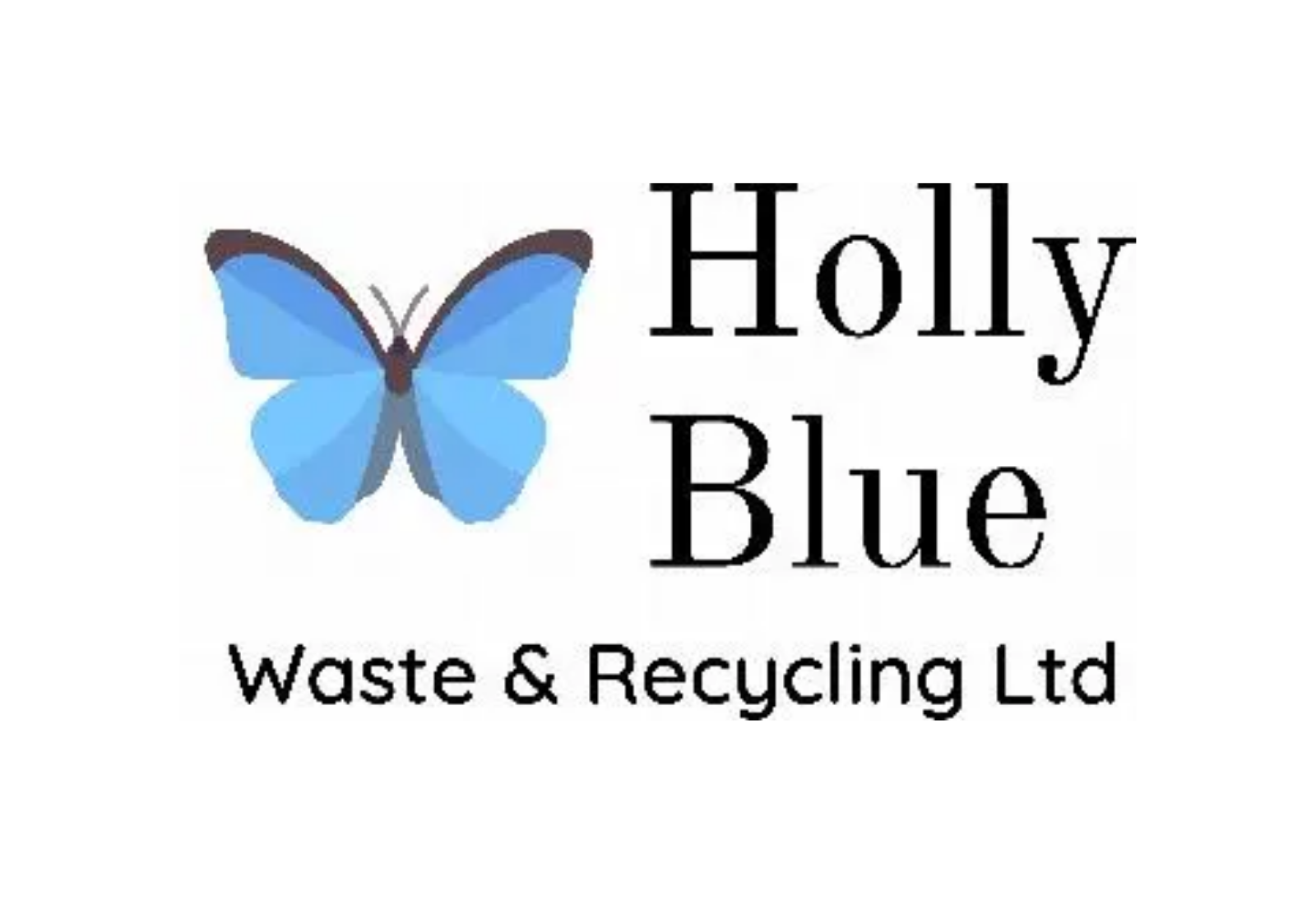 Holly Blue