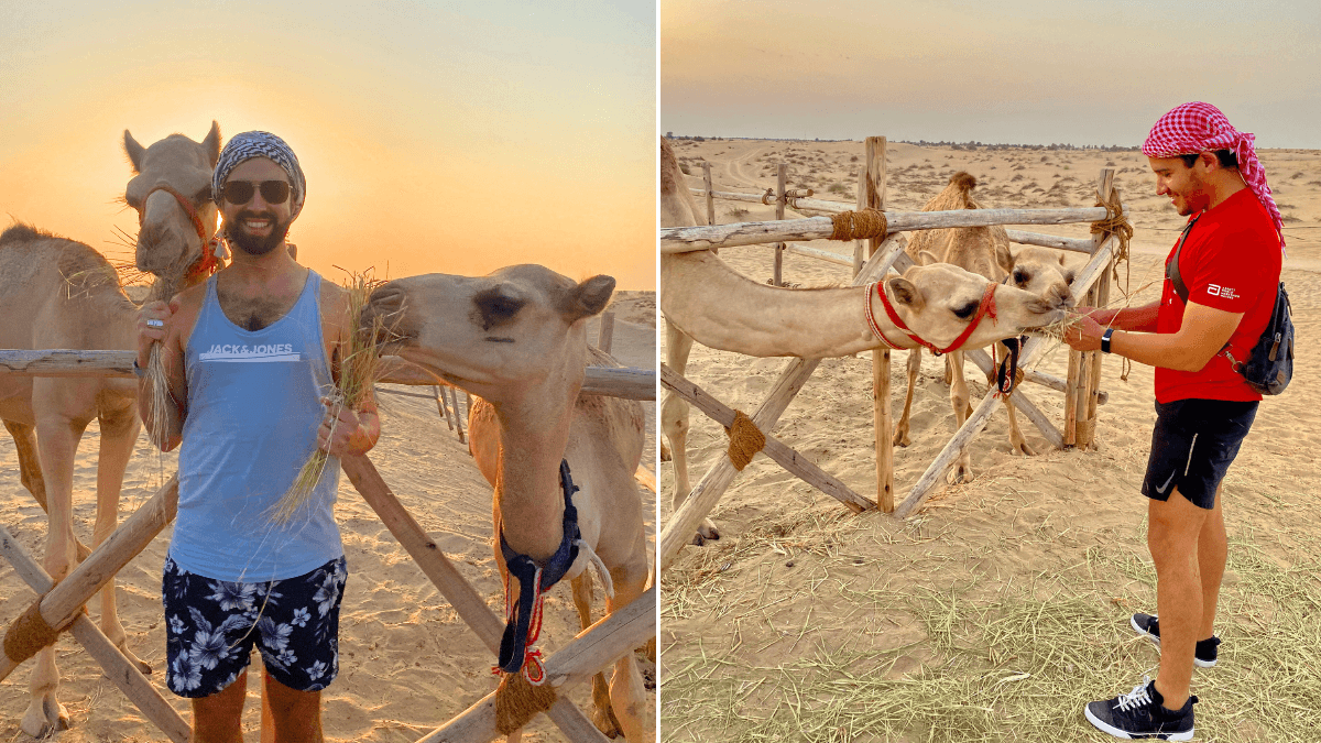 Gay couple Davey and Omie feeding camels in Dubai, UAE