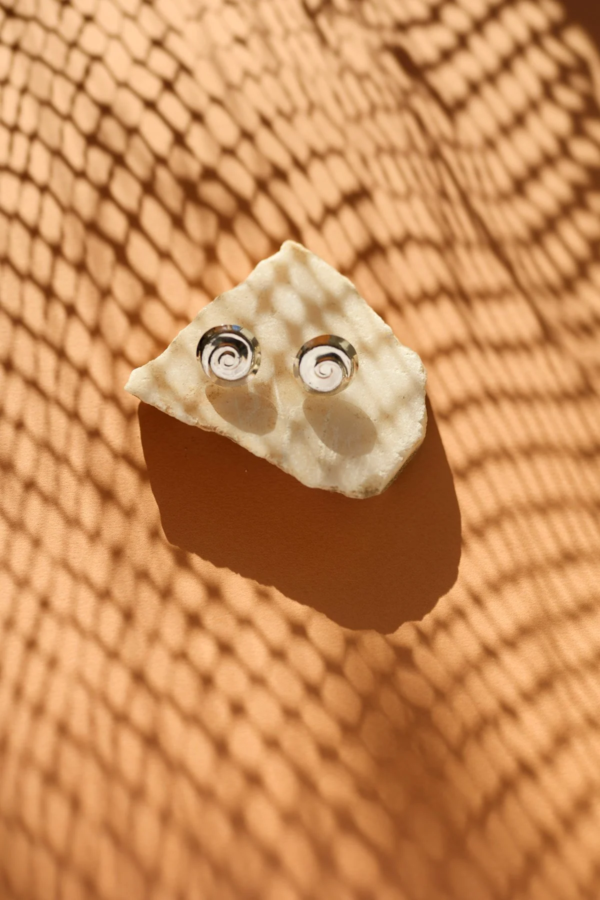 Skov og Packs 19.10.2025 1469_1.jpg