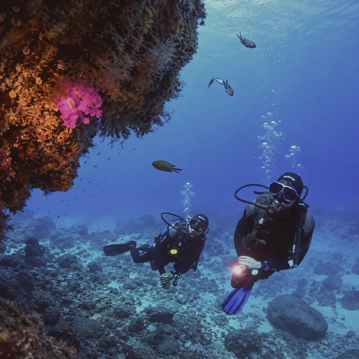 Try Scuba Diving