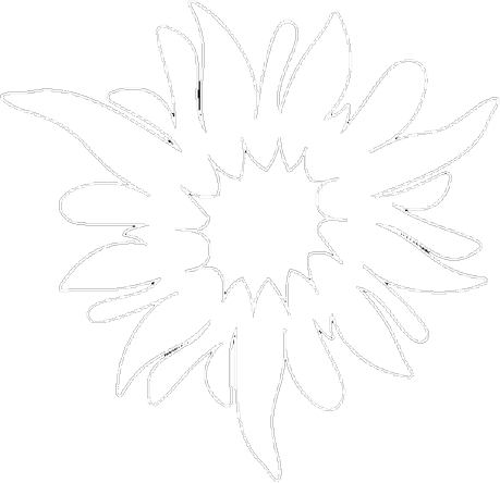 Un dessin d'un tournesol pour représenter la valeur de l'authenticité