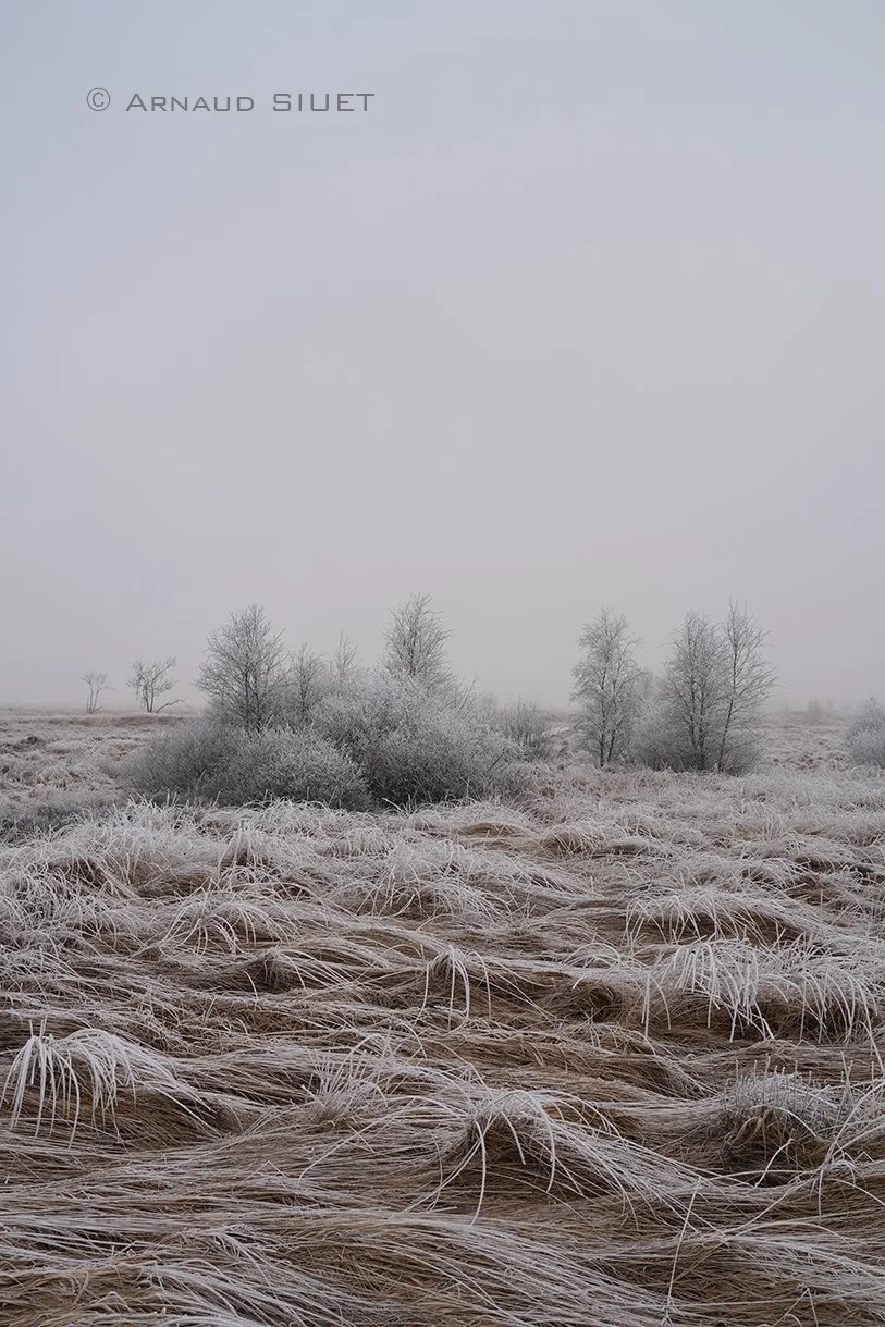 F  SIQ09364 copie.JPG