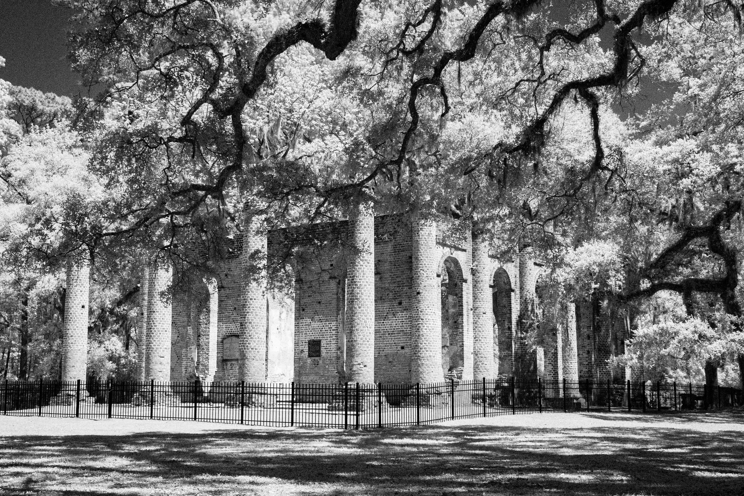 Ruins Among the Oaks