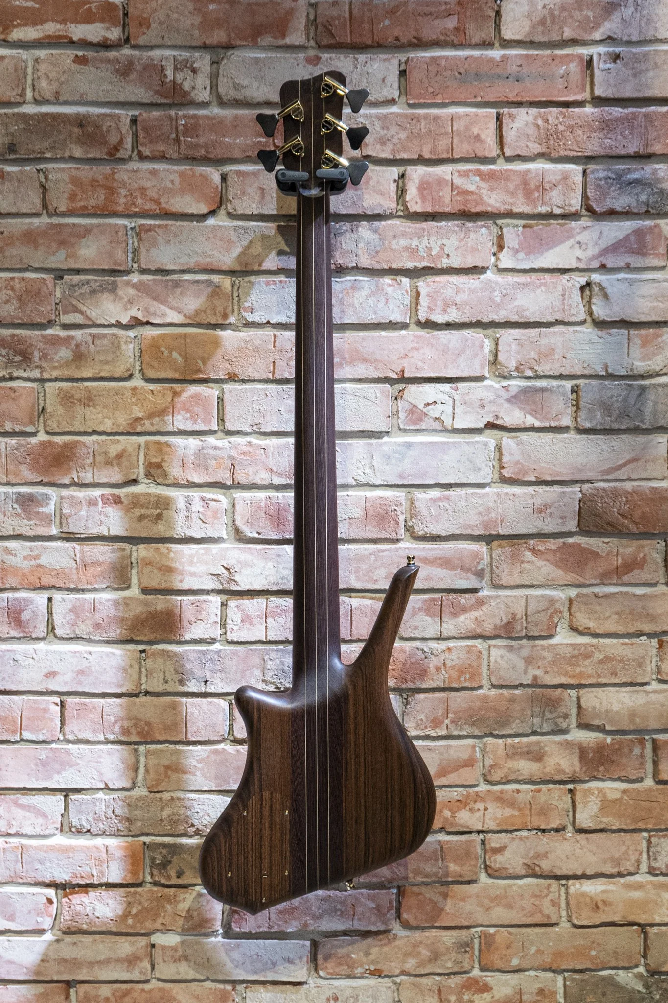 Dolphin Pro I Oralgkol-Gold M164275-26_DSC5431.jpg