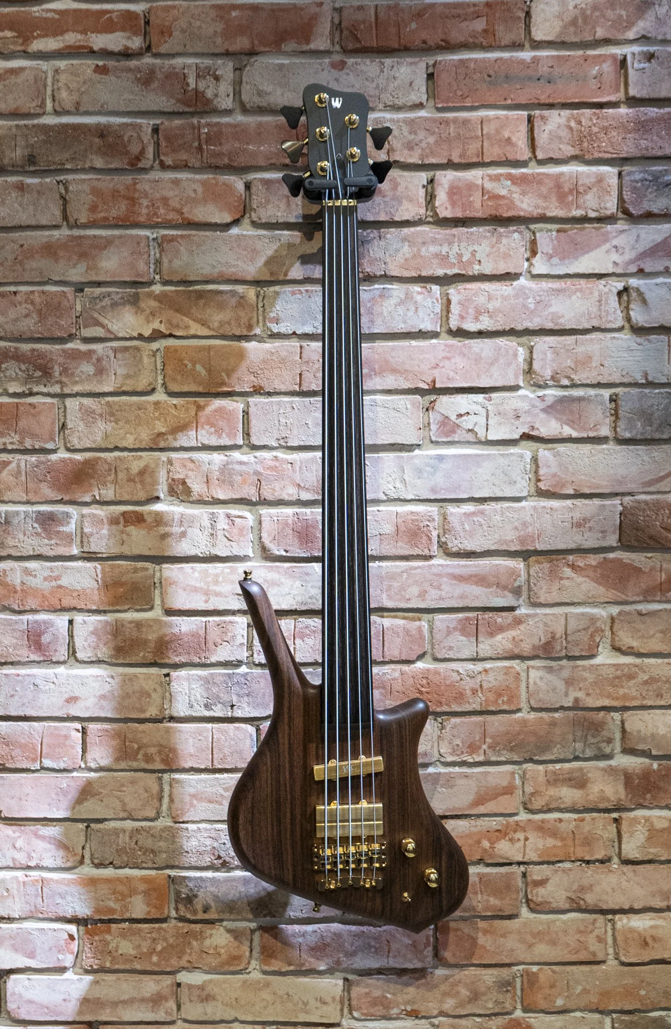 Dolphin Pro I Oralgkol-Gold M164275-26_DSC5408.jpg