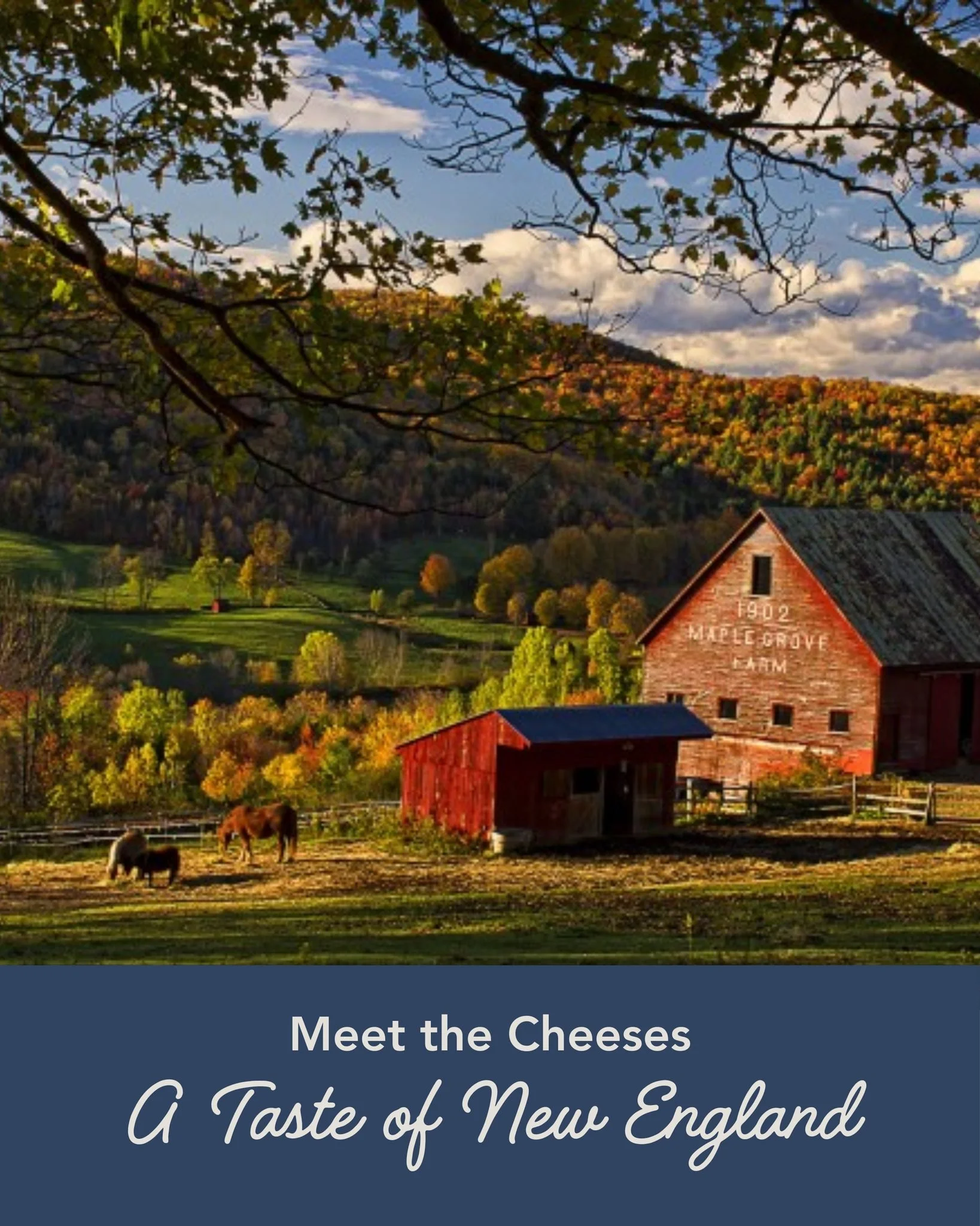 Come join us for a tour of New England cheeses 🇺🇸

We want to introduce you to some of the best cheesemakers the United States has to offer, and even better, they are just around the corner! In celebration of the country&rsquo;s birthday, we want t