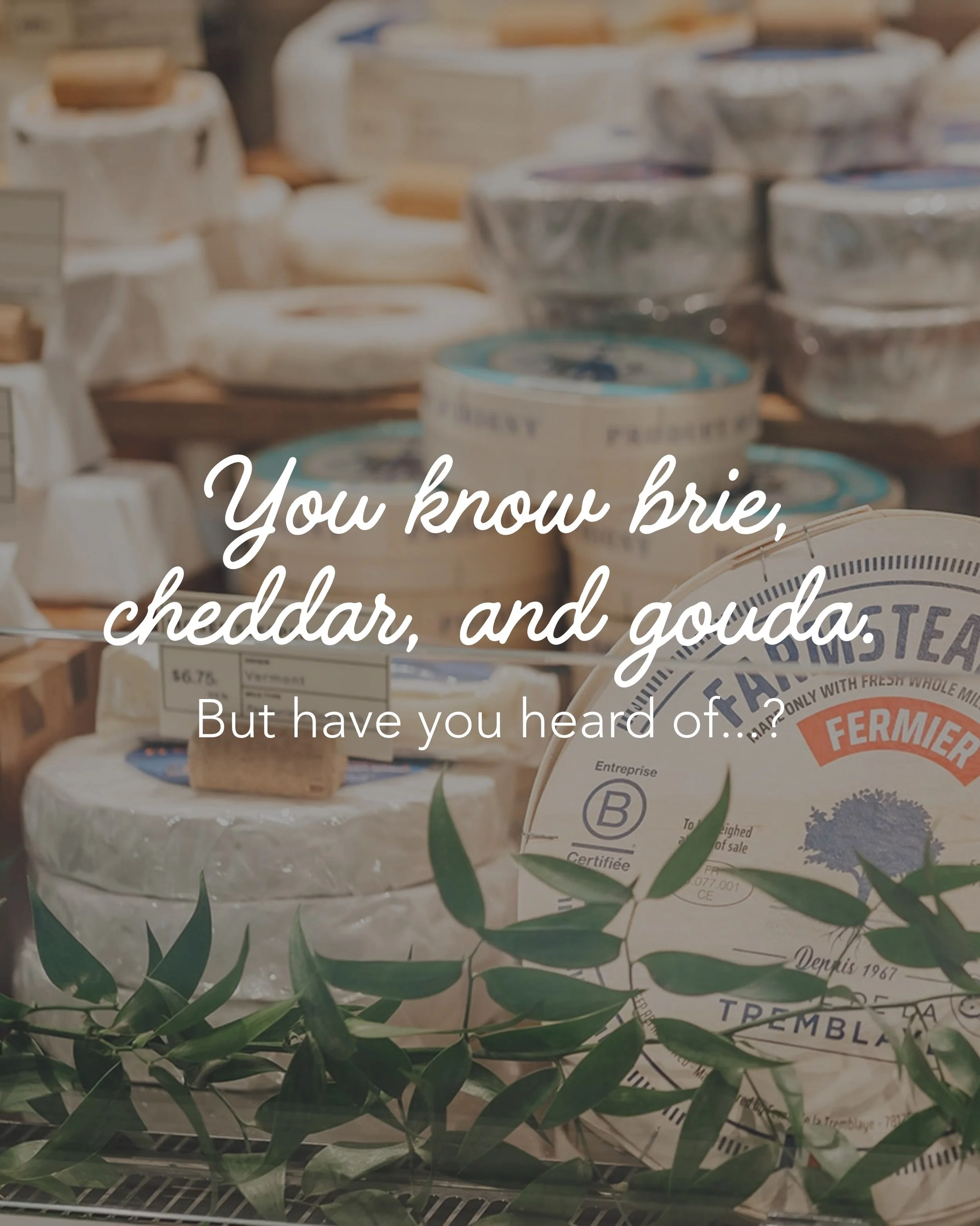 Dig deeper into the cheeses you love, exploring familiar styles through the lens of how they&rsquo;re made and what makes each one distinct.

Join us October 7th for our Meet the Cheeses: Beyond the Basics class to taste these and more. 

Tickets thr