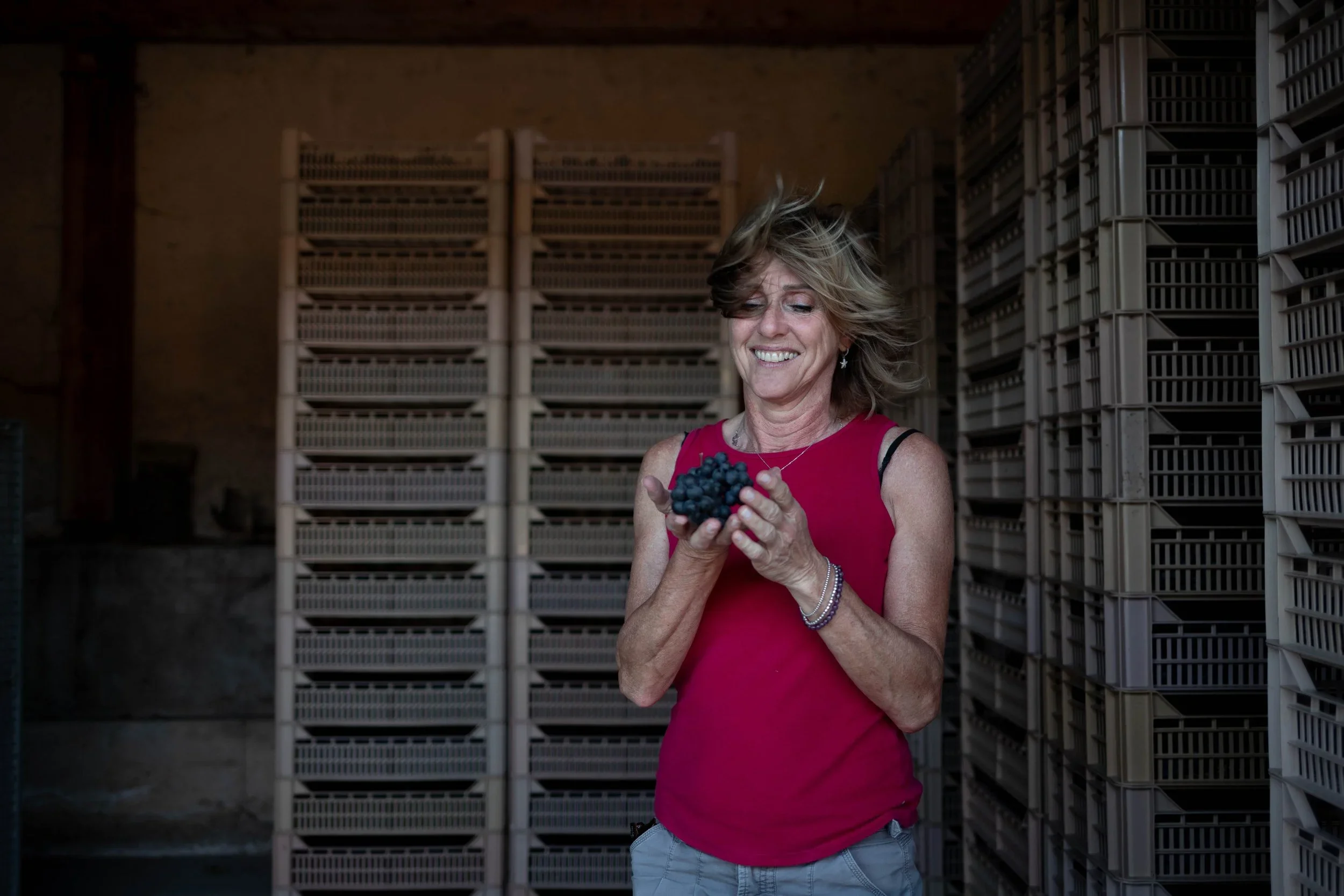 The Brightline Project