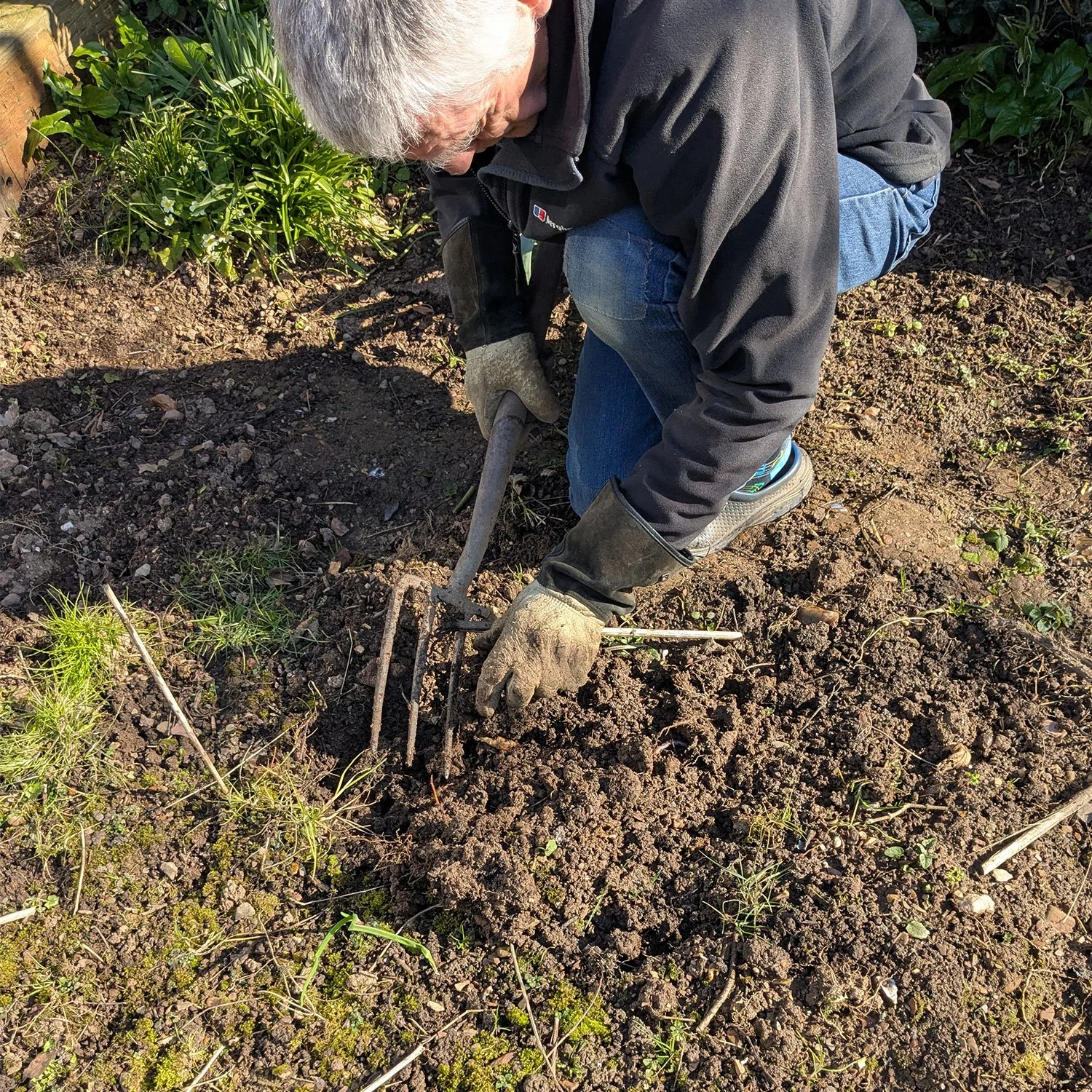 digging-for-gold-2.jpg