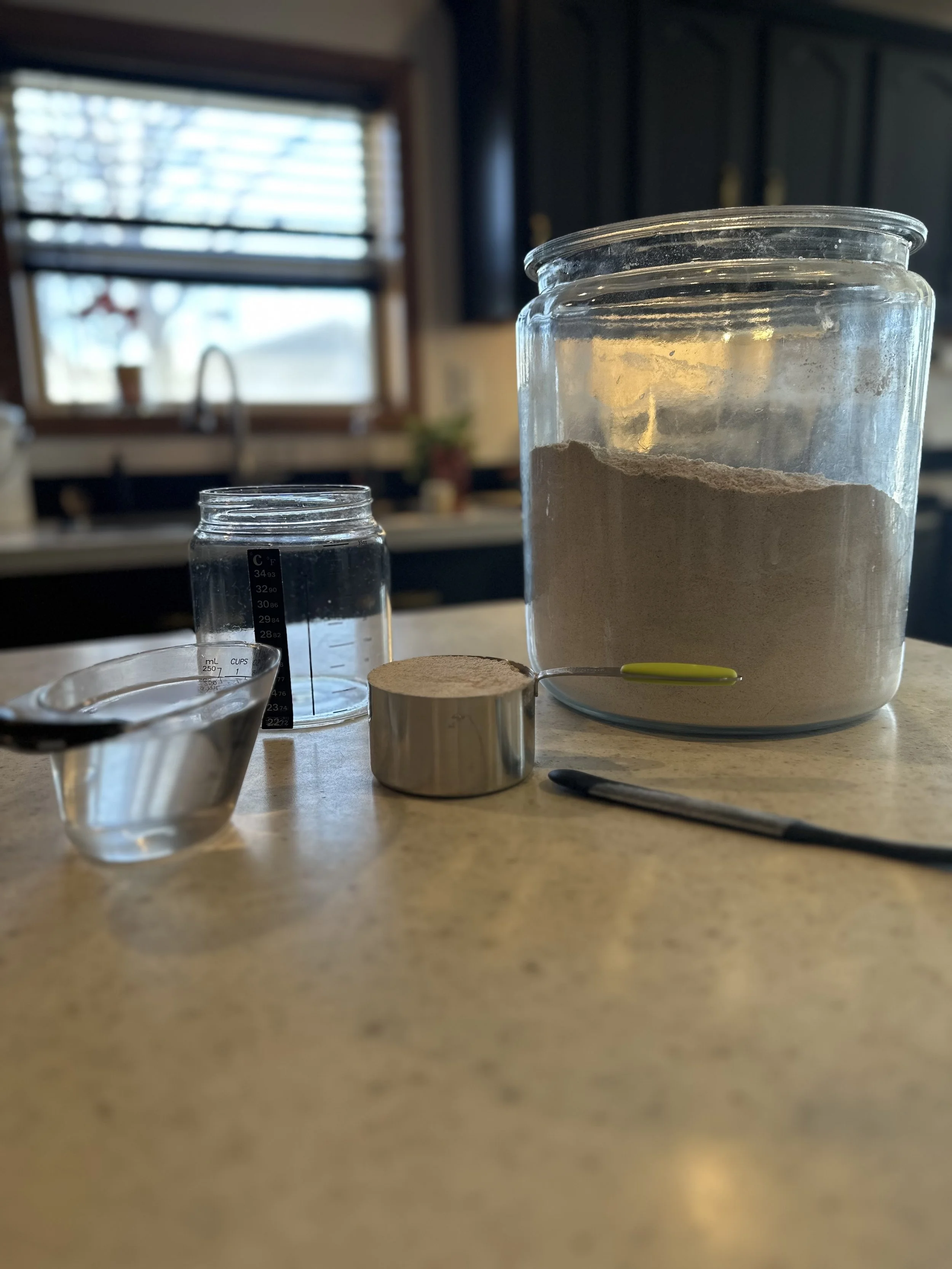 sourdough-starter-beginner