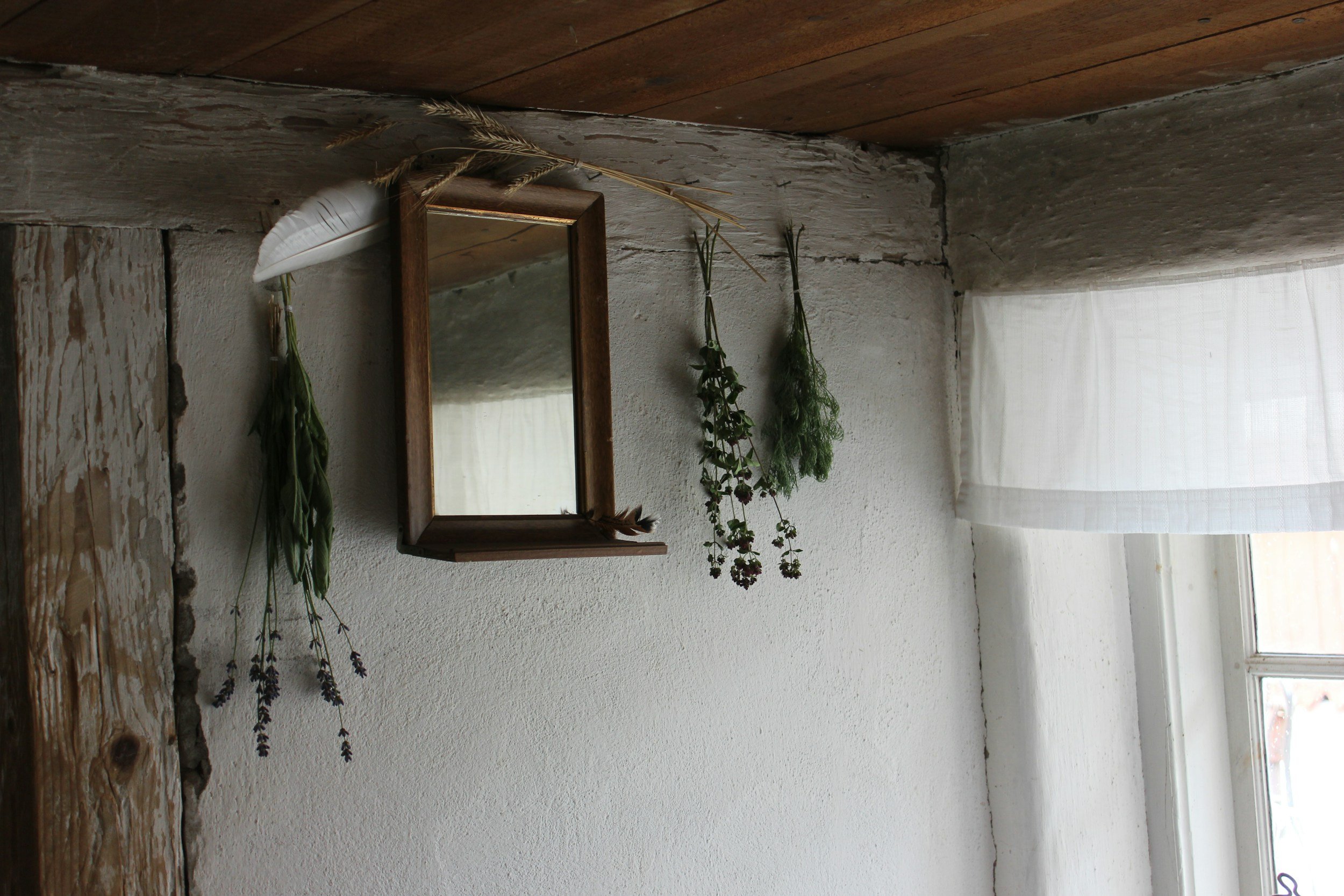 herbs-hanging-health-holistic-wellness