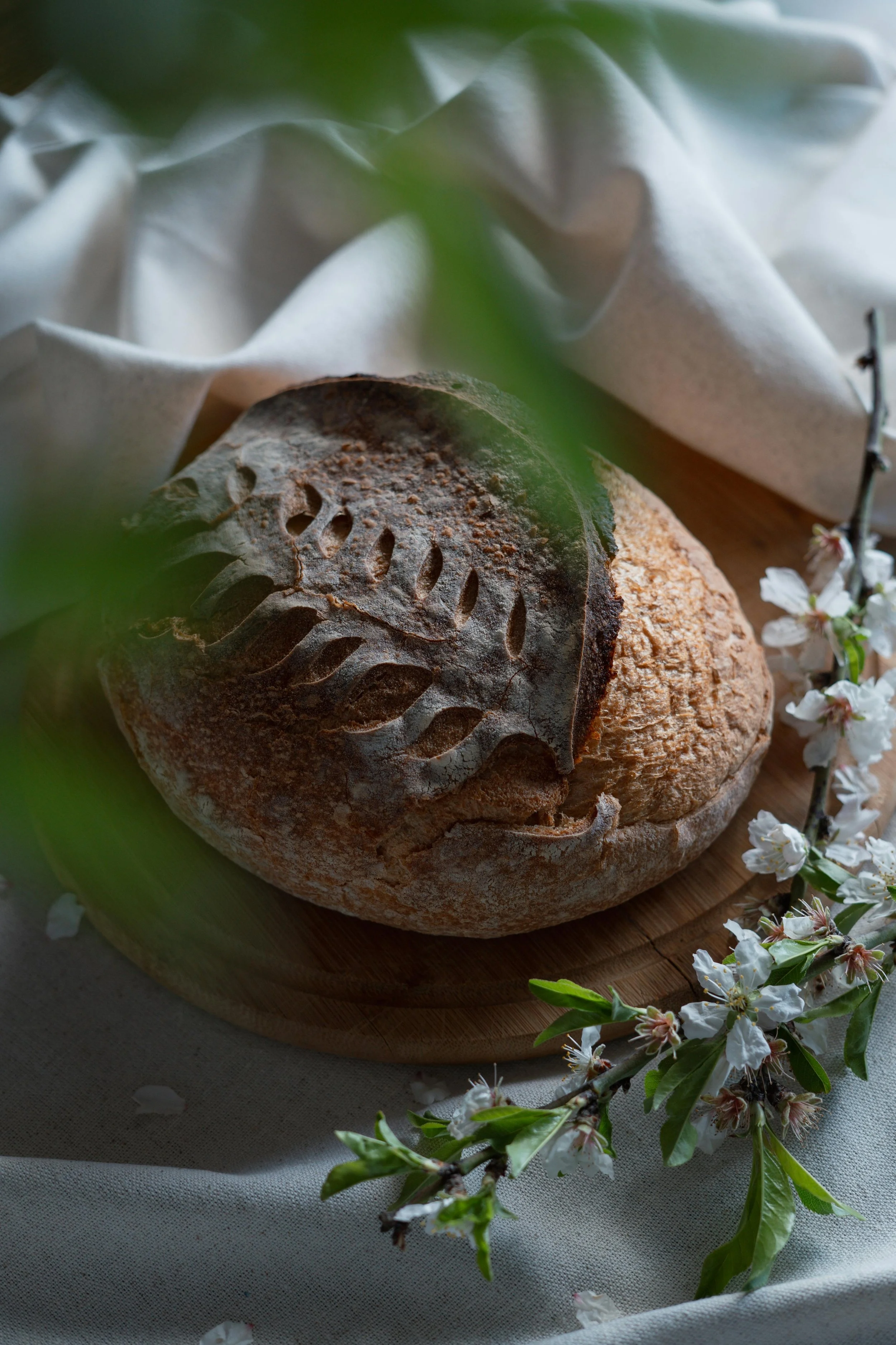 sourdough-score-2.jpg