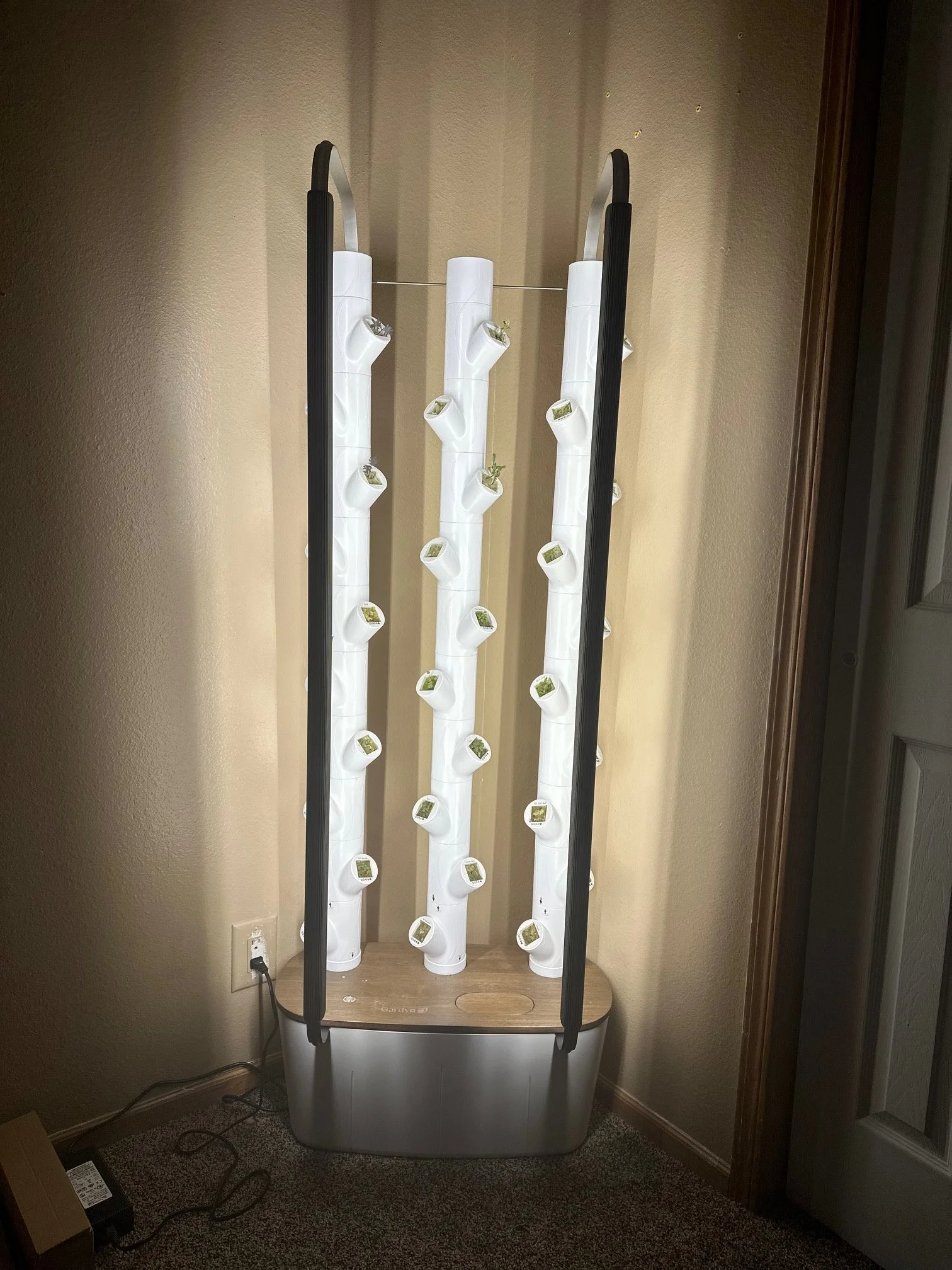 2026 Best Hydroponic Systems to Grow Indoor Gardens