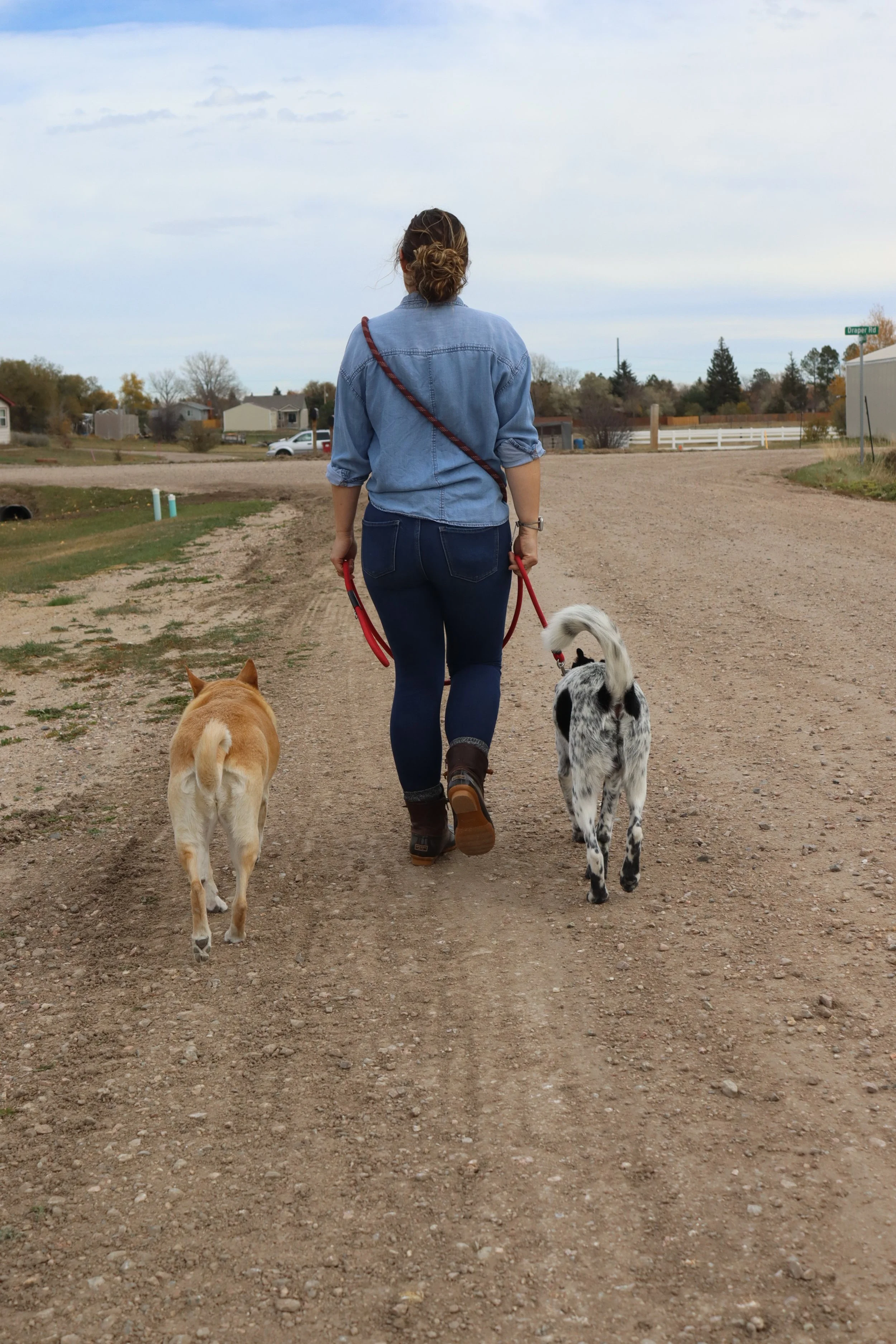 A woman walking on a dirt path with two dogs, a tan one and a black and white one, on a cloudy day in a rural area.