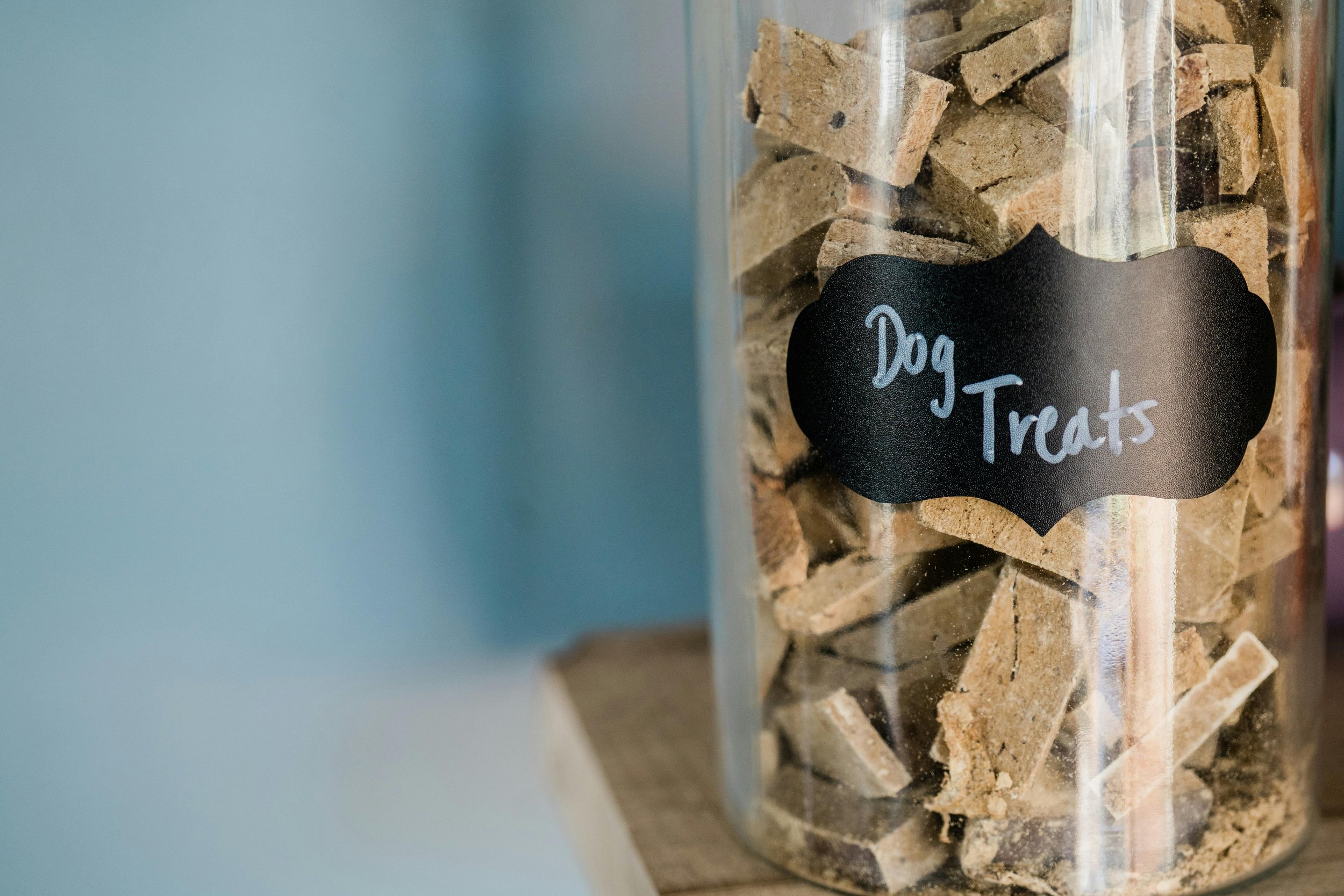 dog treats homemade