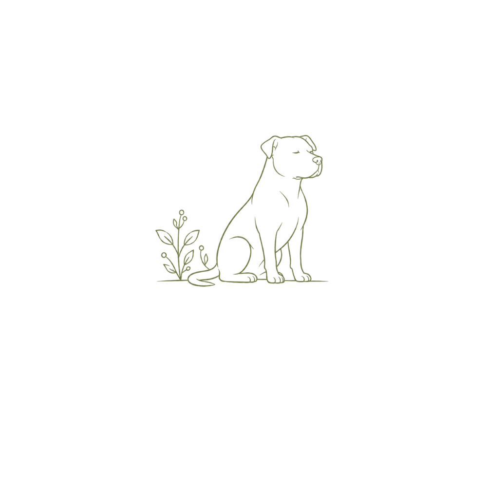 dog-training-dog-behavior