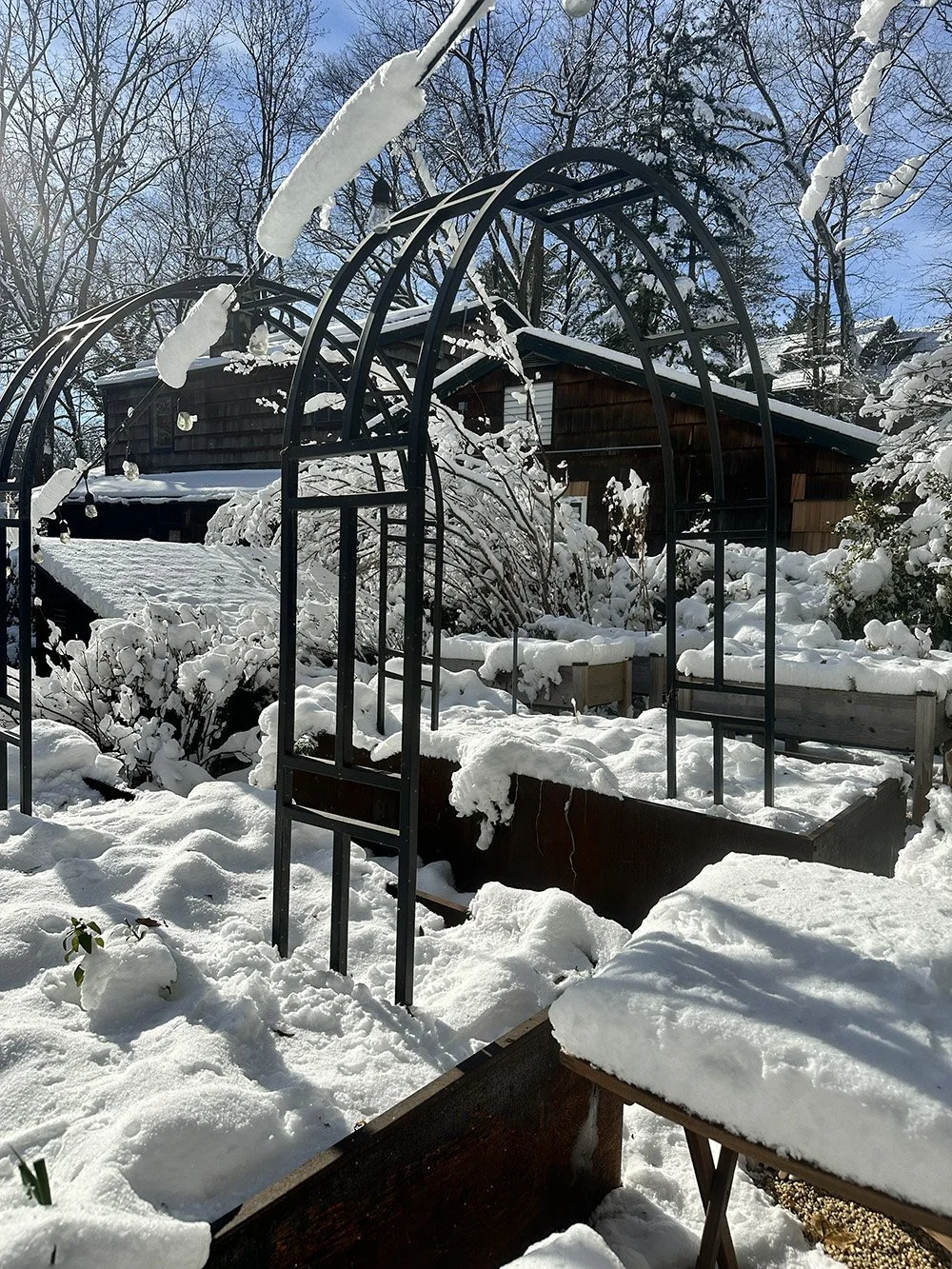 The Big Clean-Up &amp; Reset: A Gentle January Guide for Your Garden