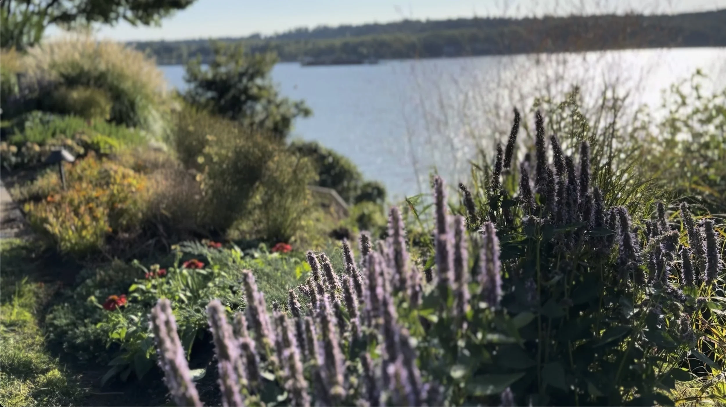 BotanicBlueprint_CliffGarden.jpg